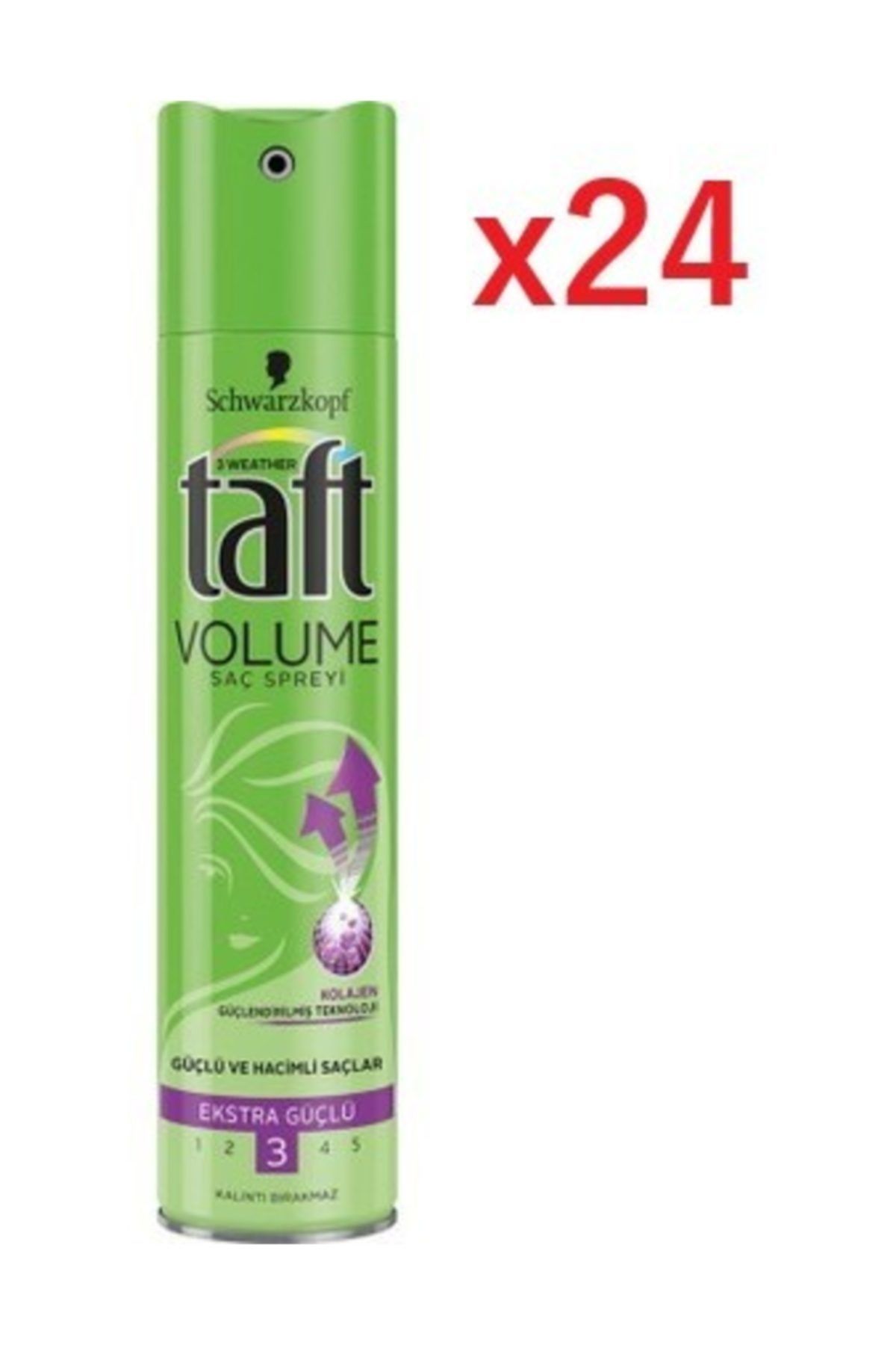 Taft Volume Saç Sprey X24