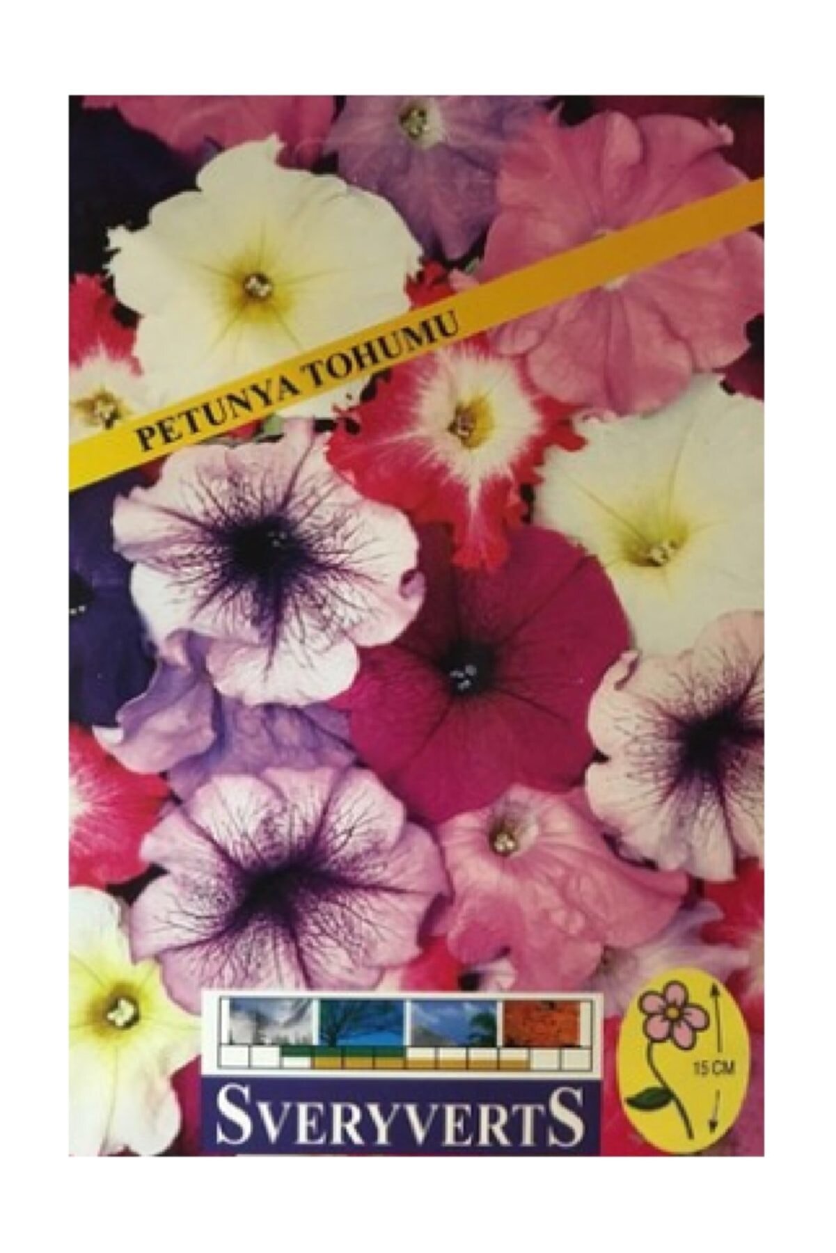 SVERYVERTS Petunya Çiçeği Tohumu 1 Paket