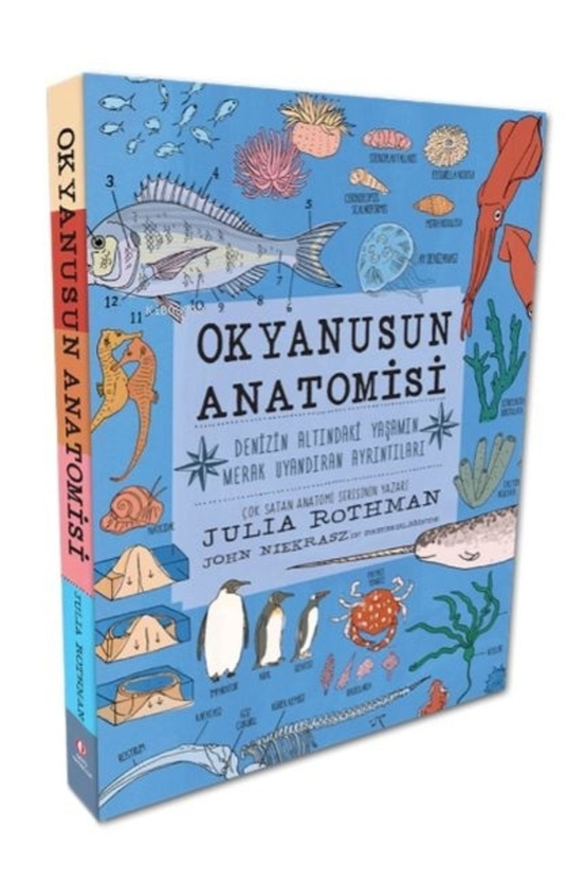 Alfa Yayınları (kitap) Okyanusun Anatomisi