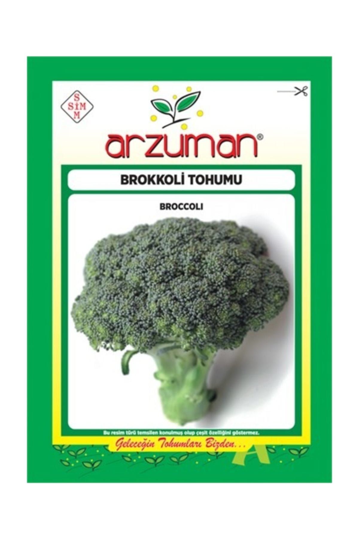 Arzuman Tohum Brokoli Tohumu