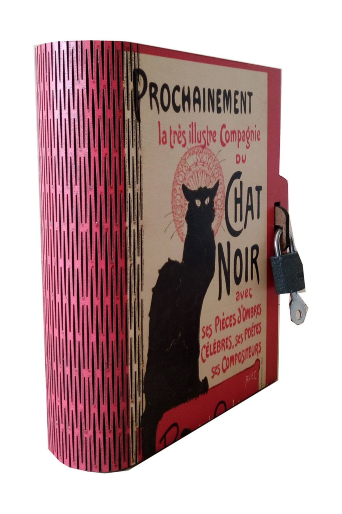 PRATİK DEKOR Kitap Kumbara Chat Noir