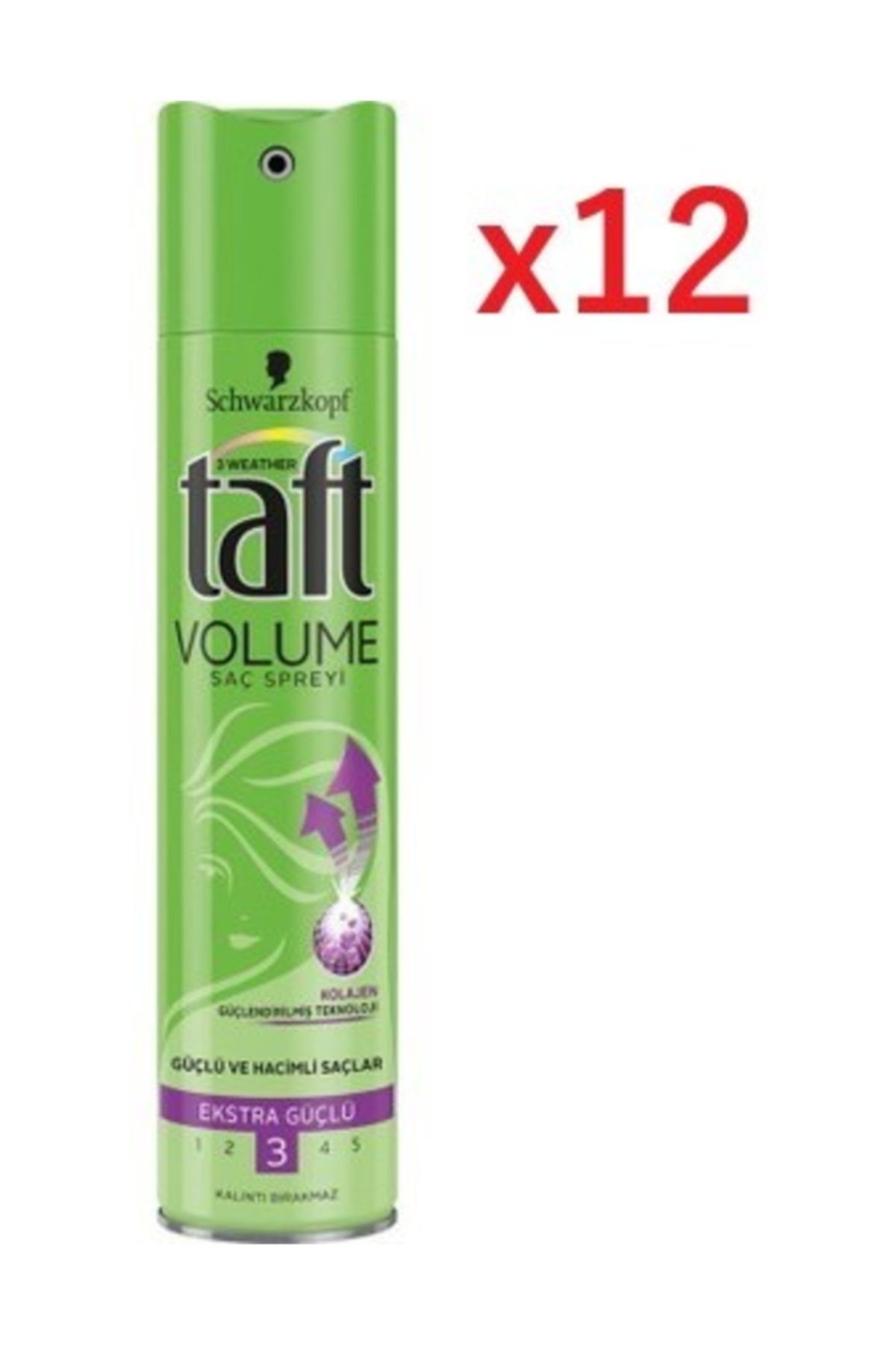 Taft Volume Saç Sprey X12
