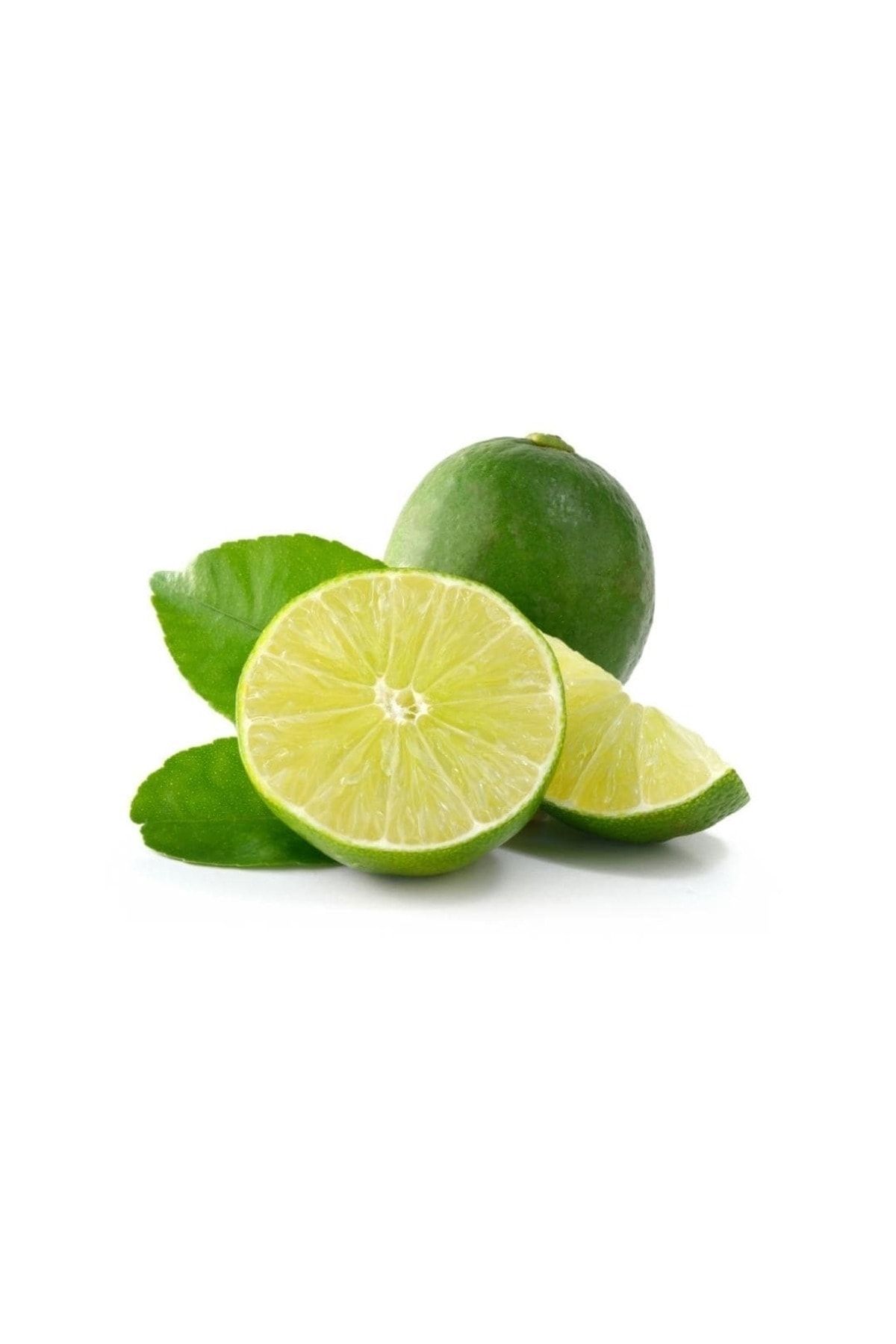 TROPİK SEPETİ Lime Limon 500 Gr