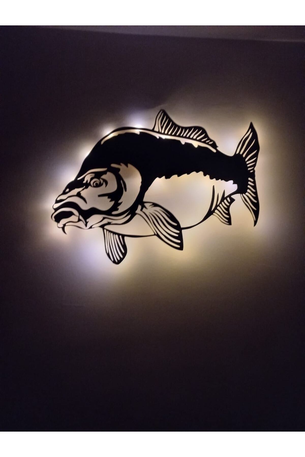 KLES Sazan Balığı Tablosu Işıklı Aynalı Sazan Akvaryum Balık