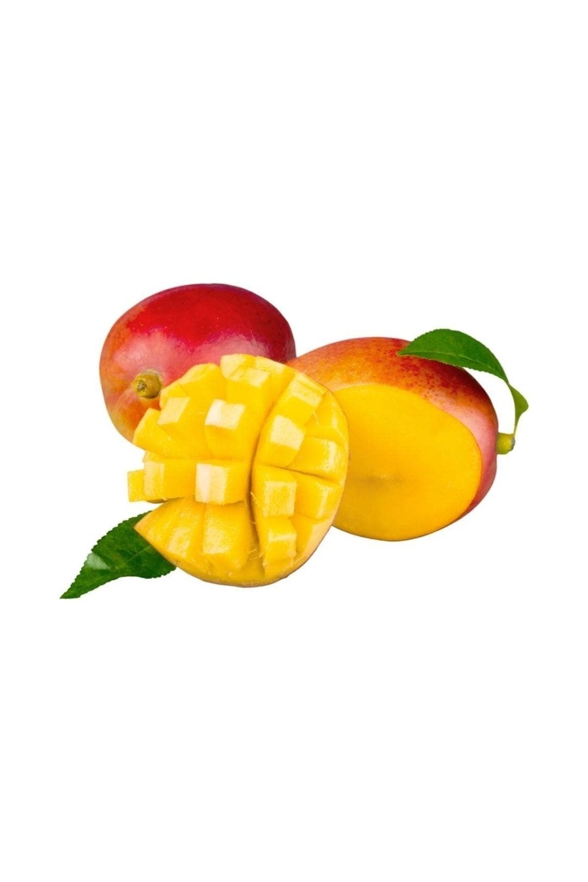 TROPİK SEPETİ Mango 1 Adet