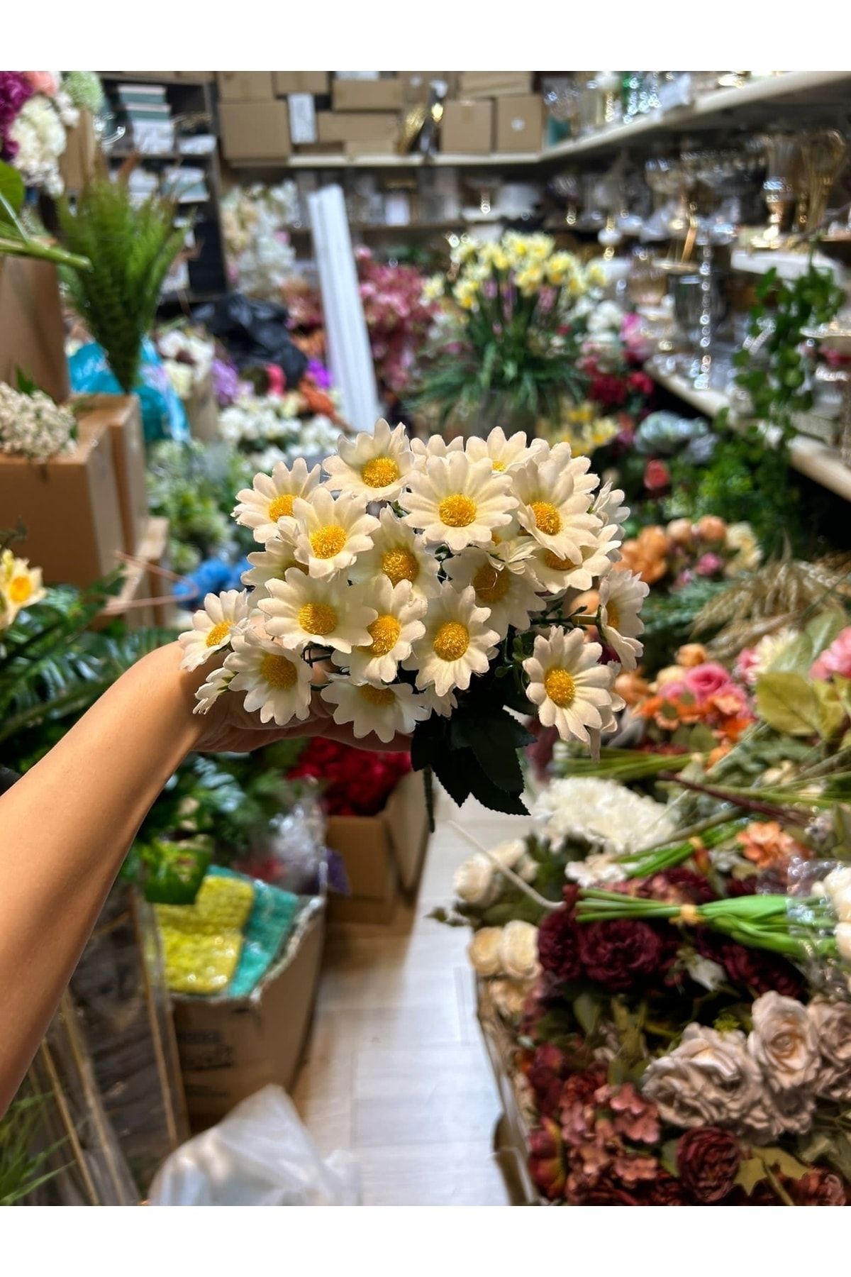 Çiçek Papatya buketi beyaz