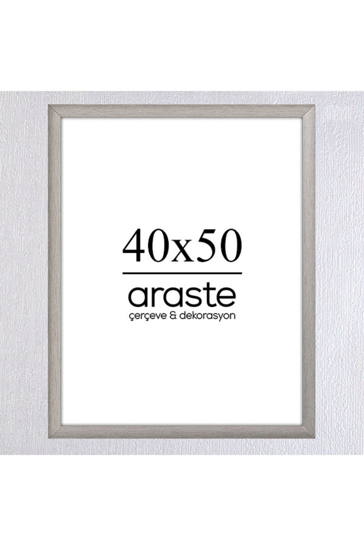 Araste Dekorasyon 40x50 Çerçeve ( Postersiz ) - BOS1002