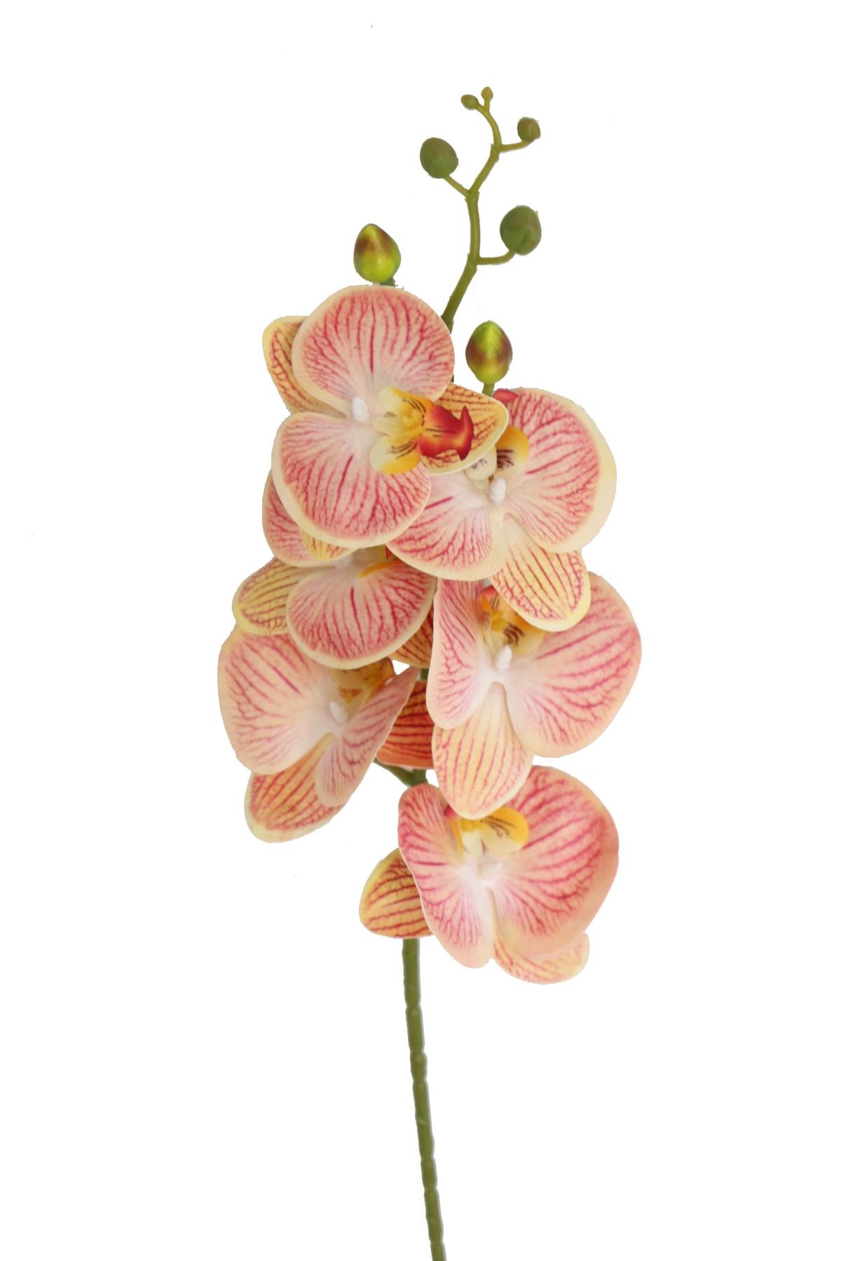 Yapay Çiçek Deposu Yapay Pastel Islak Orkide Çiçeği 95 Cm Açık Kırmızı