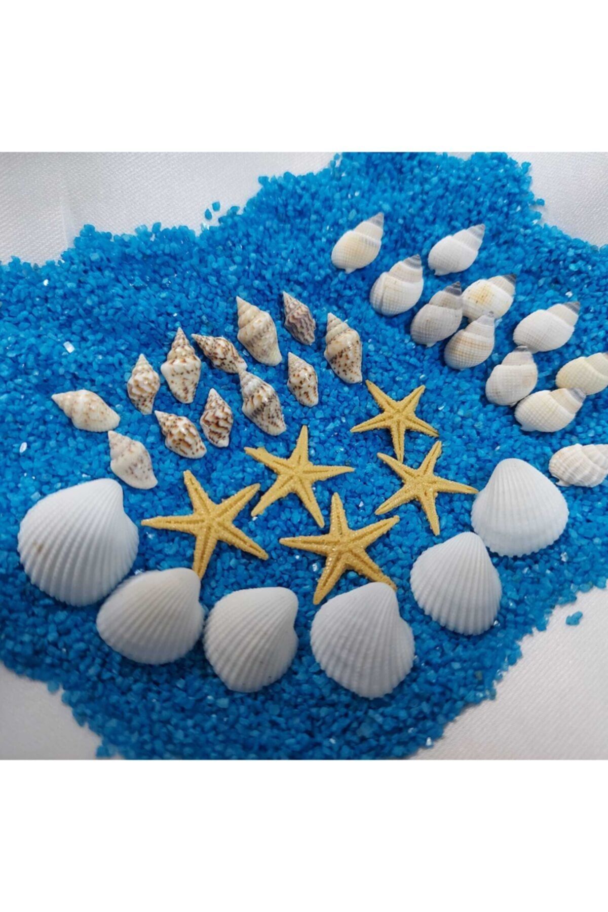 Aker Hediyelik Dekoratif Deniz Kabuğu 1kg Deniz Kabukları Silis Kabuk 07mm-2,5cm+ 1kg Teraryum Mavi Kum+yıldız