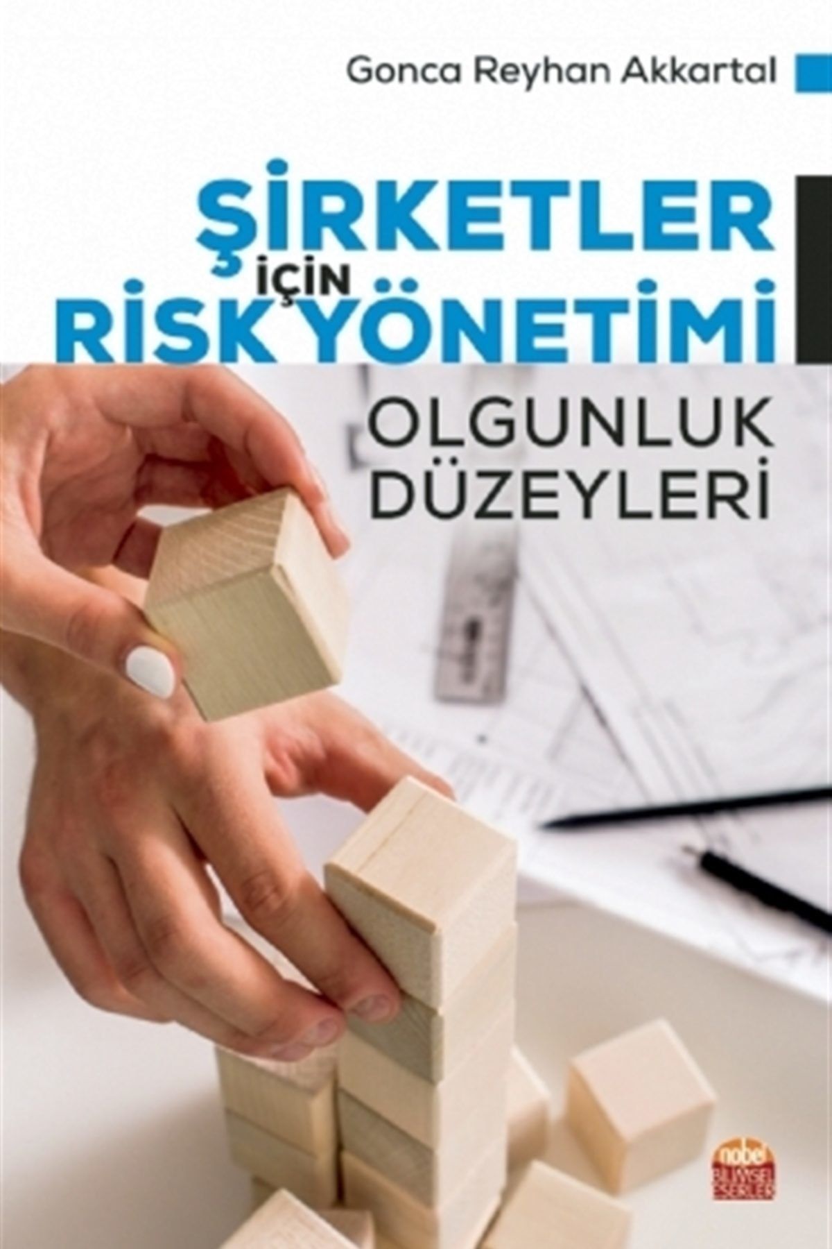 Nobel Akademik Yayıncılık Şirketler İçin Risk Yönetimi - Olgunluk Düzeyleri