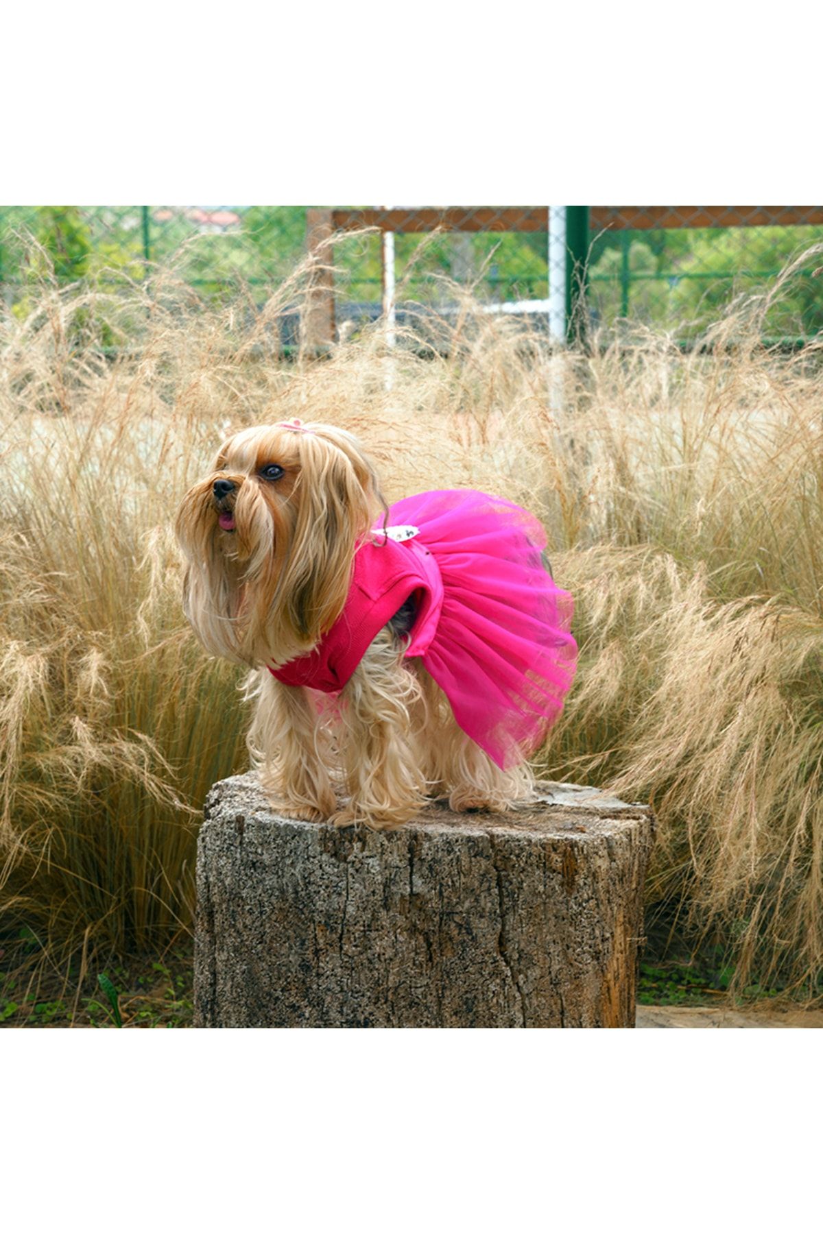 MAXSTYLESPET Kedi Köpek Kıyafeti - Prenses Kalp Tütü Elbise
