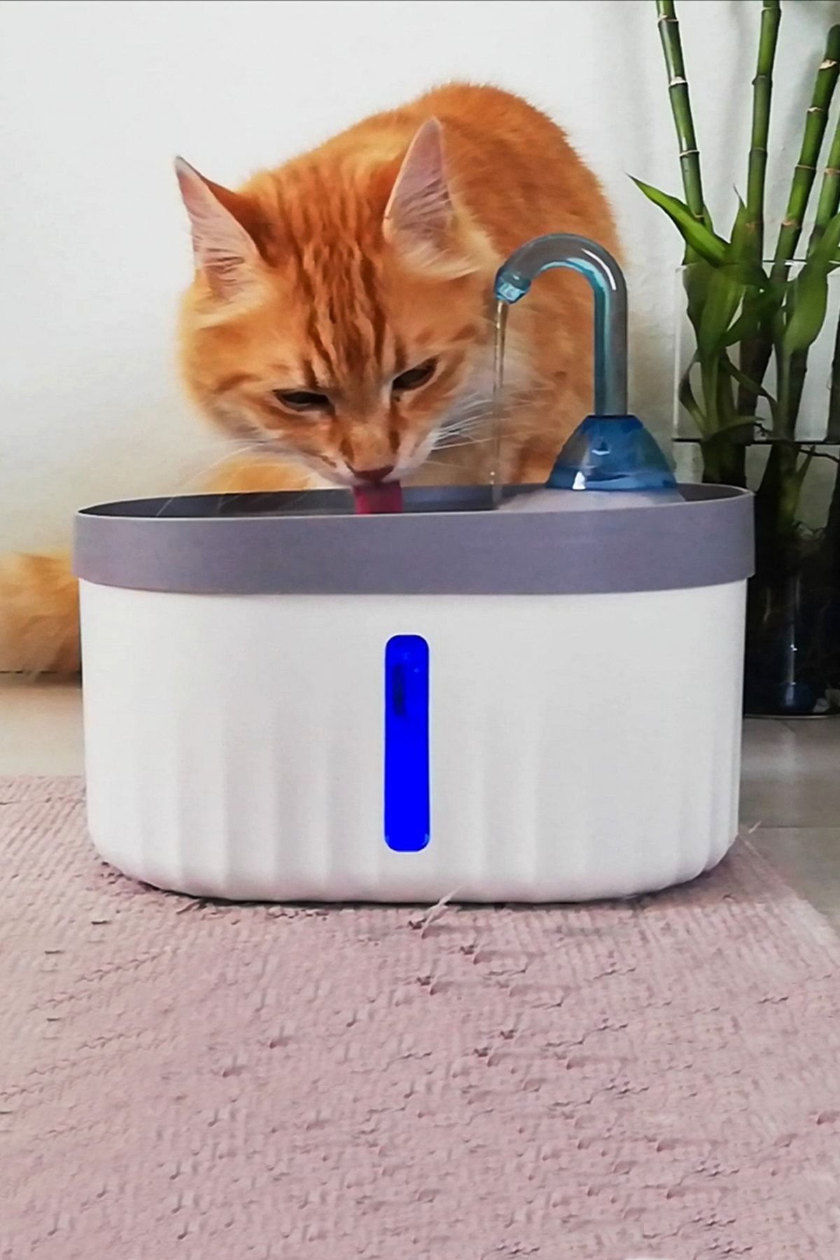 ATA HOME AQUATA Otomatik Kedi Köpek Suluğu Su Çeşmesi ve Pınarı Işıklı Ultra Sessiz USB Bağlantı 2,3 lt 40db