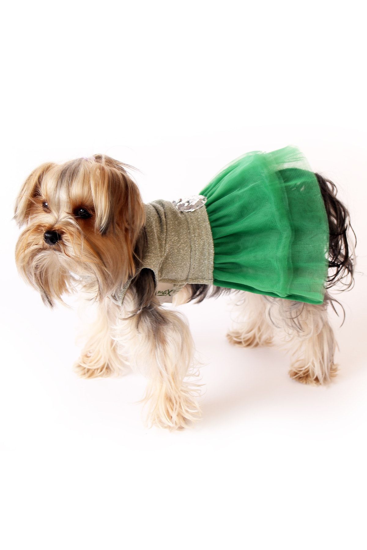 MAXSTYLESPET Kedi Köpek Elbisesi - Simli Tütü Elbise Yeşil