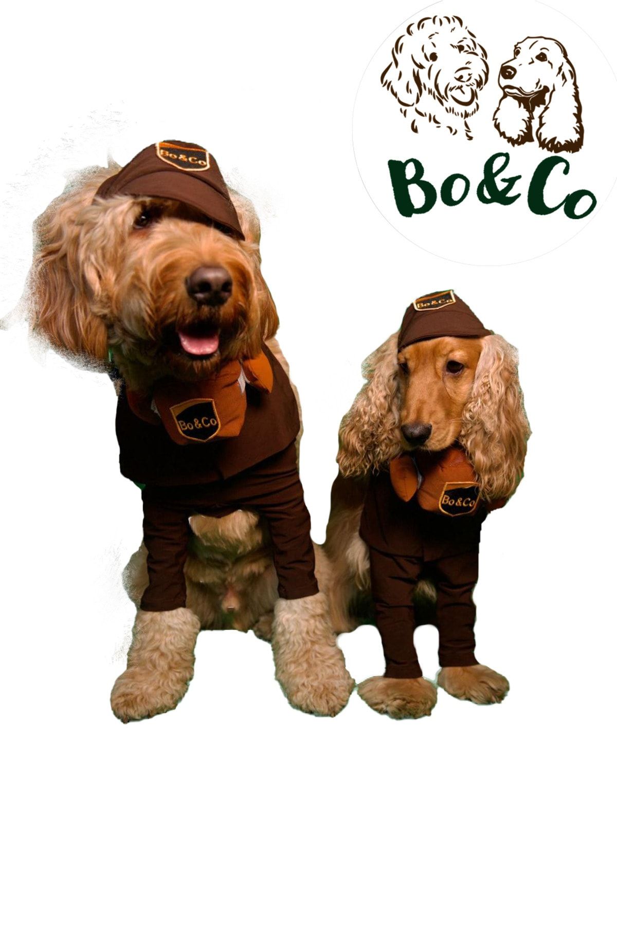 BoCo Postacı Köpek Kostüm
