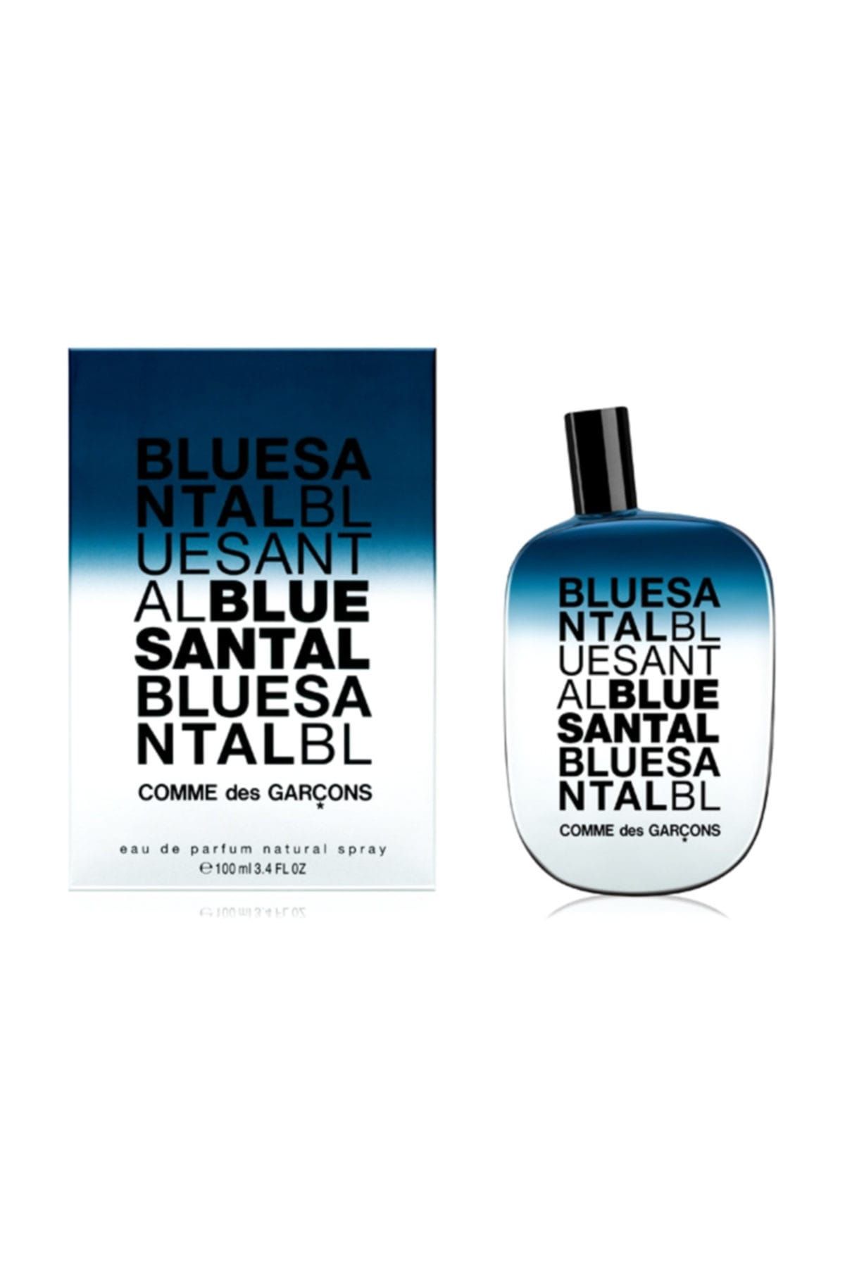 Comme Des Garcons Blue Santal EDP 100 ml Erkek Parfüm erkek parfüm 8411061782507