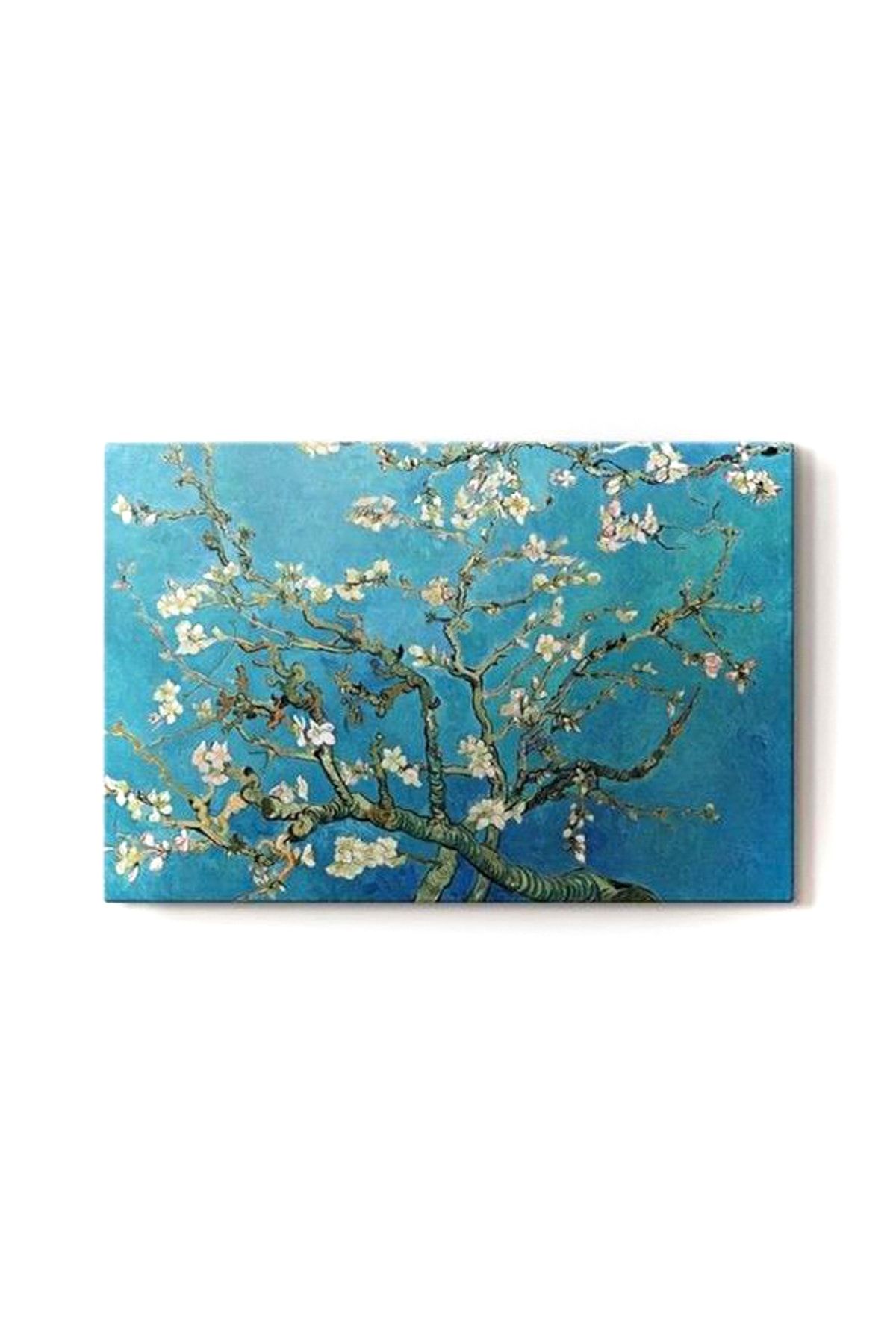 2645 Yayınları Vincent Van Gogh - Çiçek Açan Badem Ağacı Tablo 60 X 80 Cm