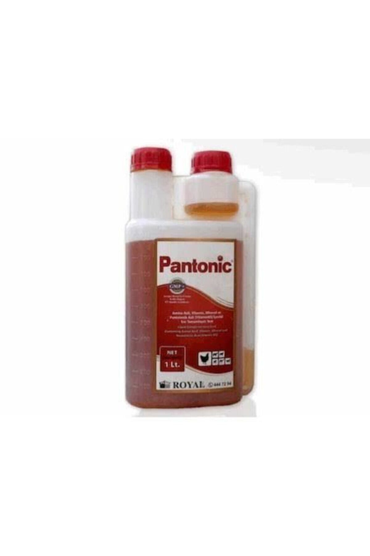 pantonic 1 lt Kanatlı Vitamini