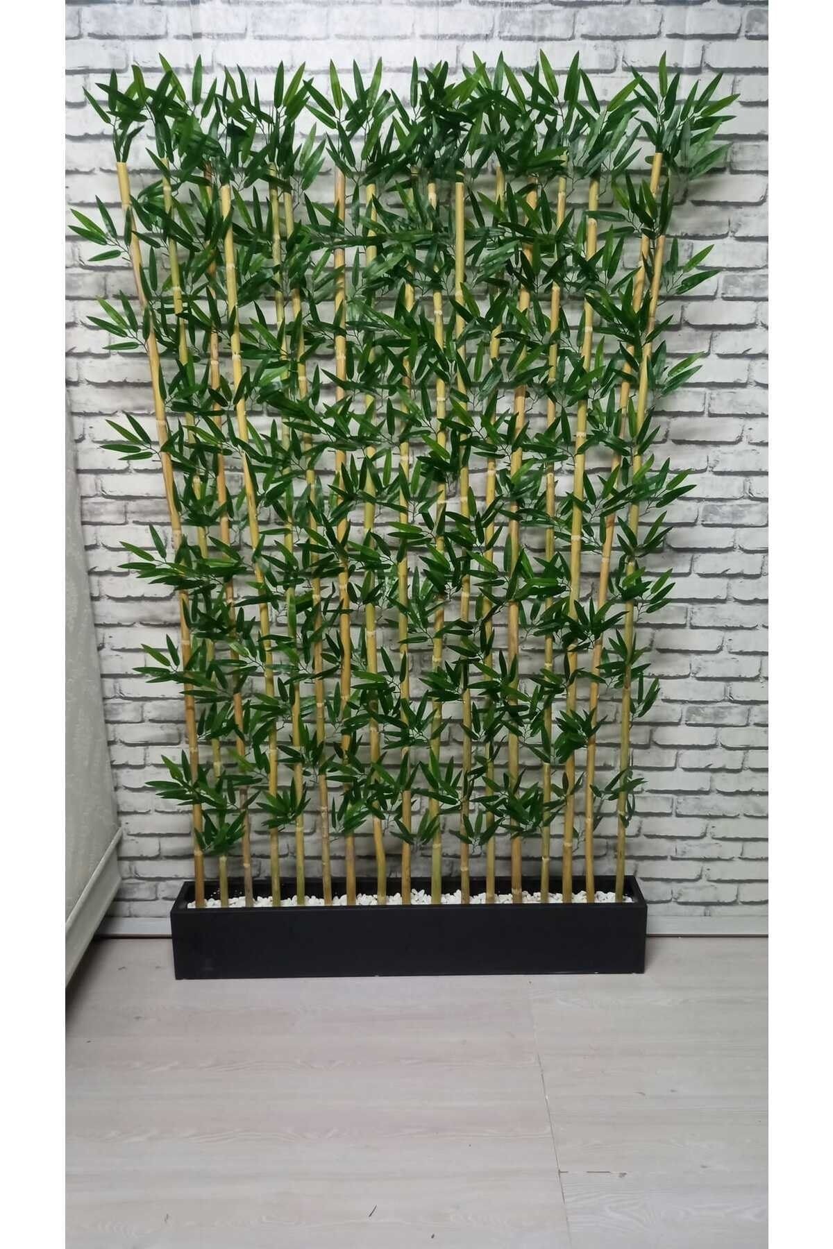 ERHAN FLOWERS Bambu Speratör 100 Cm Saksıda 190 Cm Bambu 20 Adet