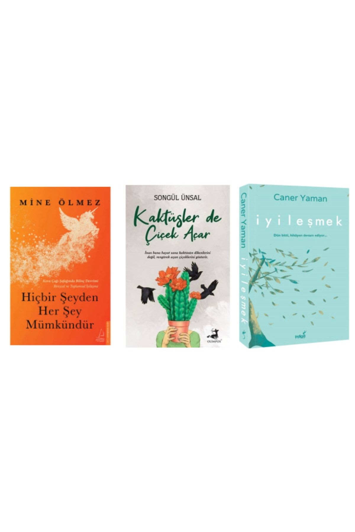 Olimpos Yayınları Hiçbir Şeyden Her Şey Mümkündür + Kaktüslerde Çiçek Açar+ İyileşmek 3 Kitap Set