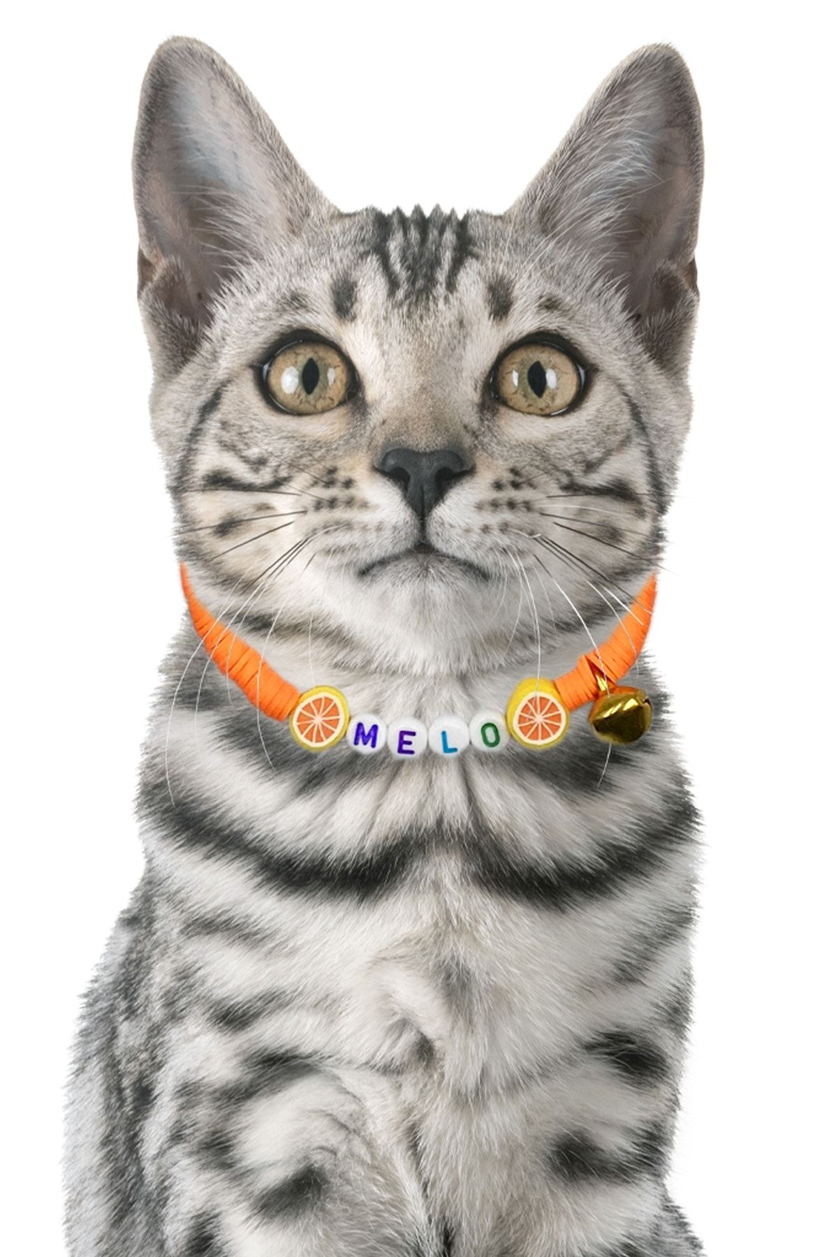 Petella Kedi Boyun Tasması Kedi Kolyesi Isimli Kedi Tasması Ayarlanabilir Portakal Detaylı