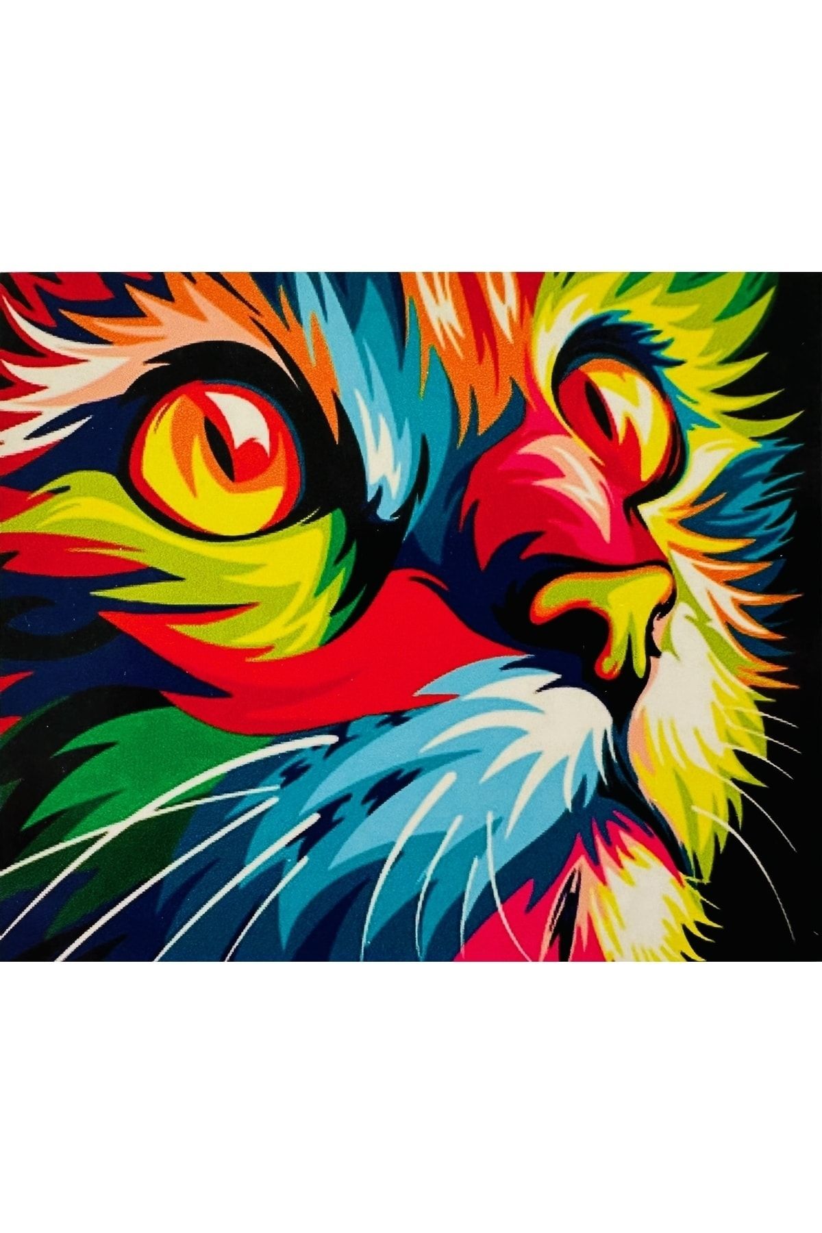 Genel Markalar Hı Stone 5d Elmas Boncuk Taş Işleme Mozaik Goblen Kit 50x40cm Gc70619