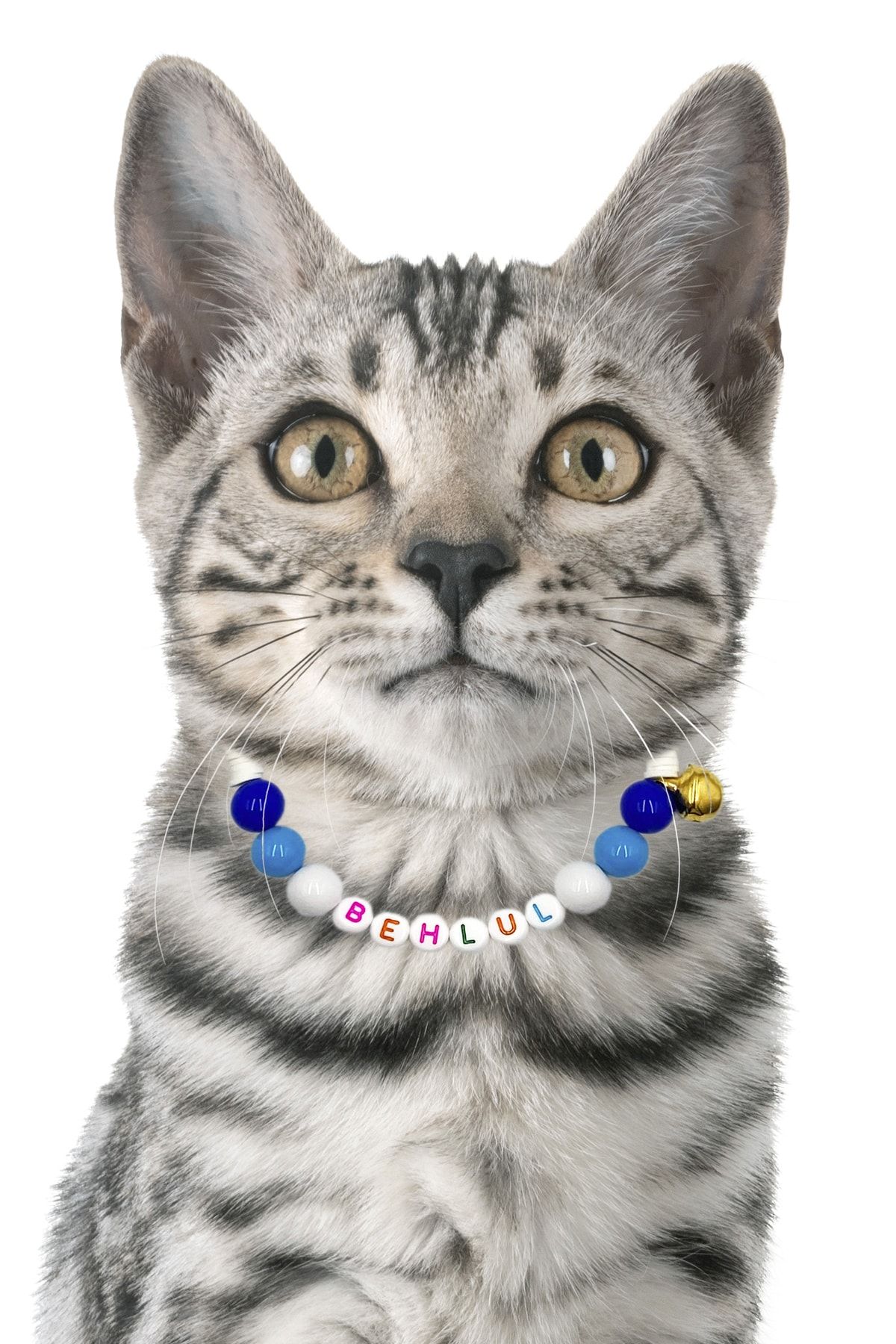 Petella Kedi Boyun Tasması Kedi Kolyesi Isimli Kedi Tasması Ayarlanabilir Boncuk Detaylı