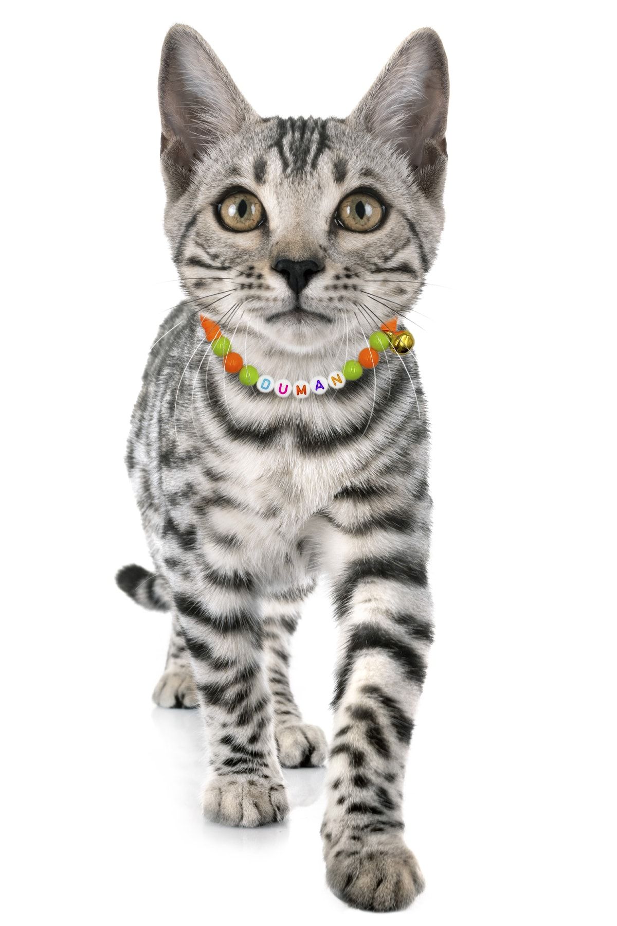 Petella Kedi Boyun Tasması Kedi Kolyesi Isimli Kedi Tasması Ayarlanabilir Boncuk Detaylı