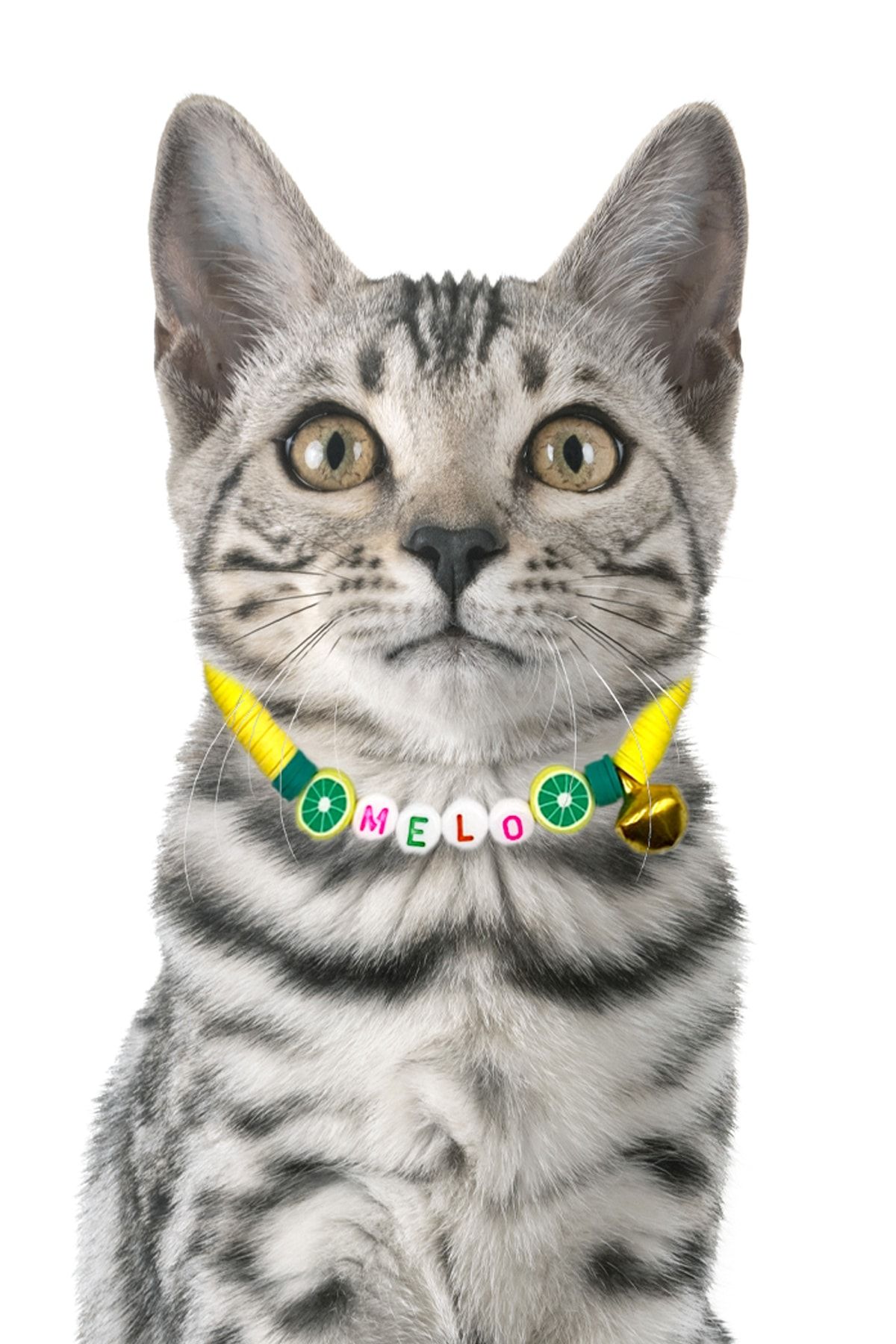 Petella Kedi Boyun Tasması Kedi Kolyesi Isimli Kedi Tasması Ayarlanabilir Limon Detaylı