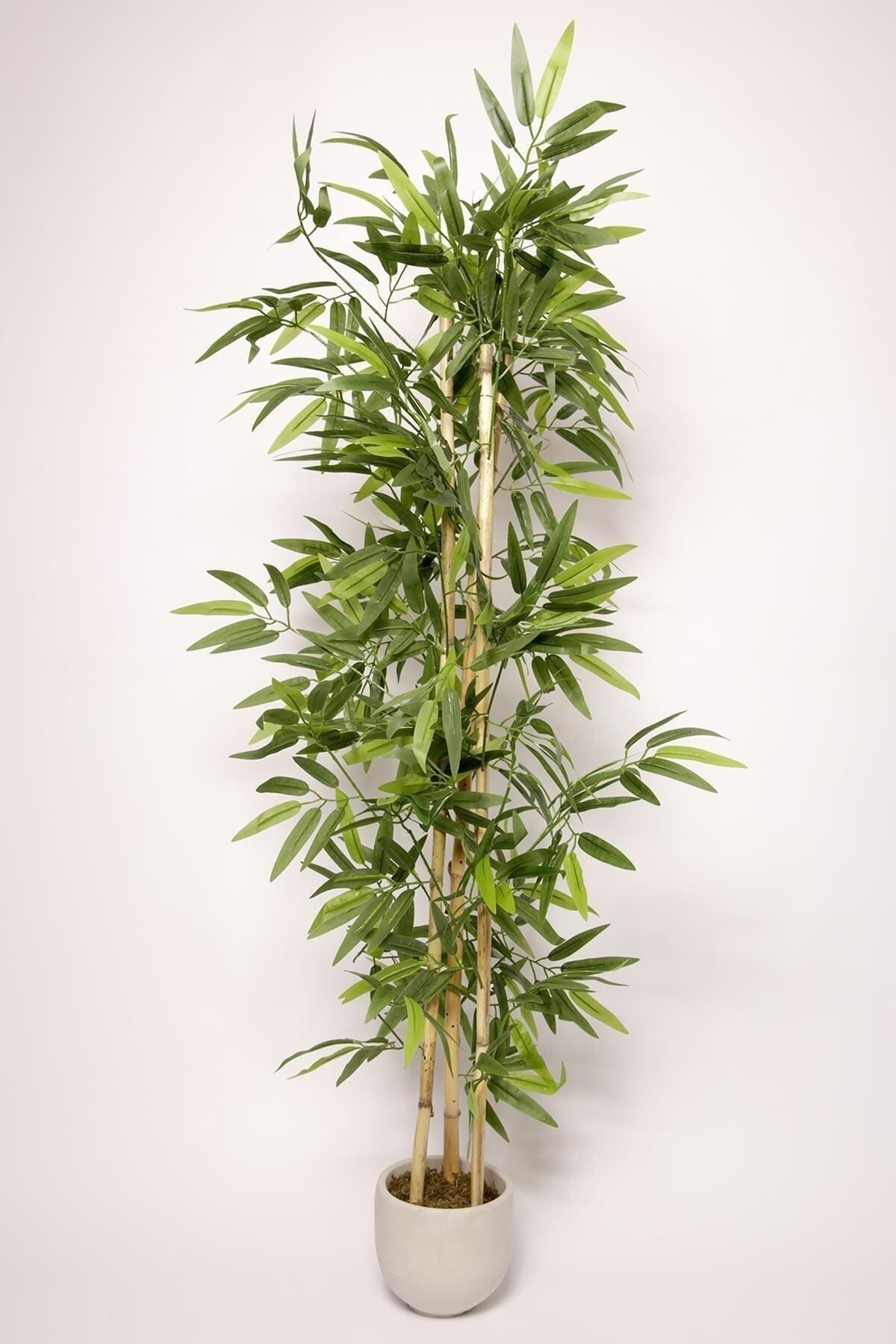 MH MiniHediye Yapay Çiçek Saksıda Salon Ağacı Bitkisi Dekoratif 3 Bambu Gövdeli Dolgun Yapraklı 105 Cm