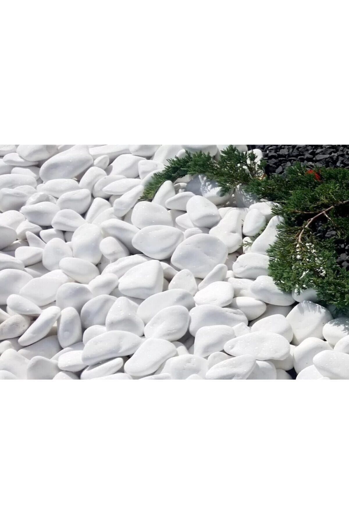 Ekodoğa Beyaz Dolomit 20 Kg 6-10 Cm Taş Bahçe Süs Taşı Dekoratif Taş Dere Taşı Loche