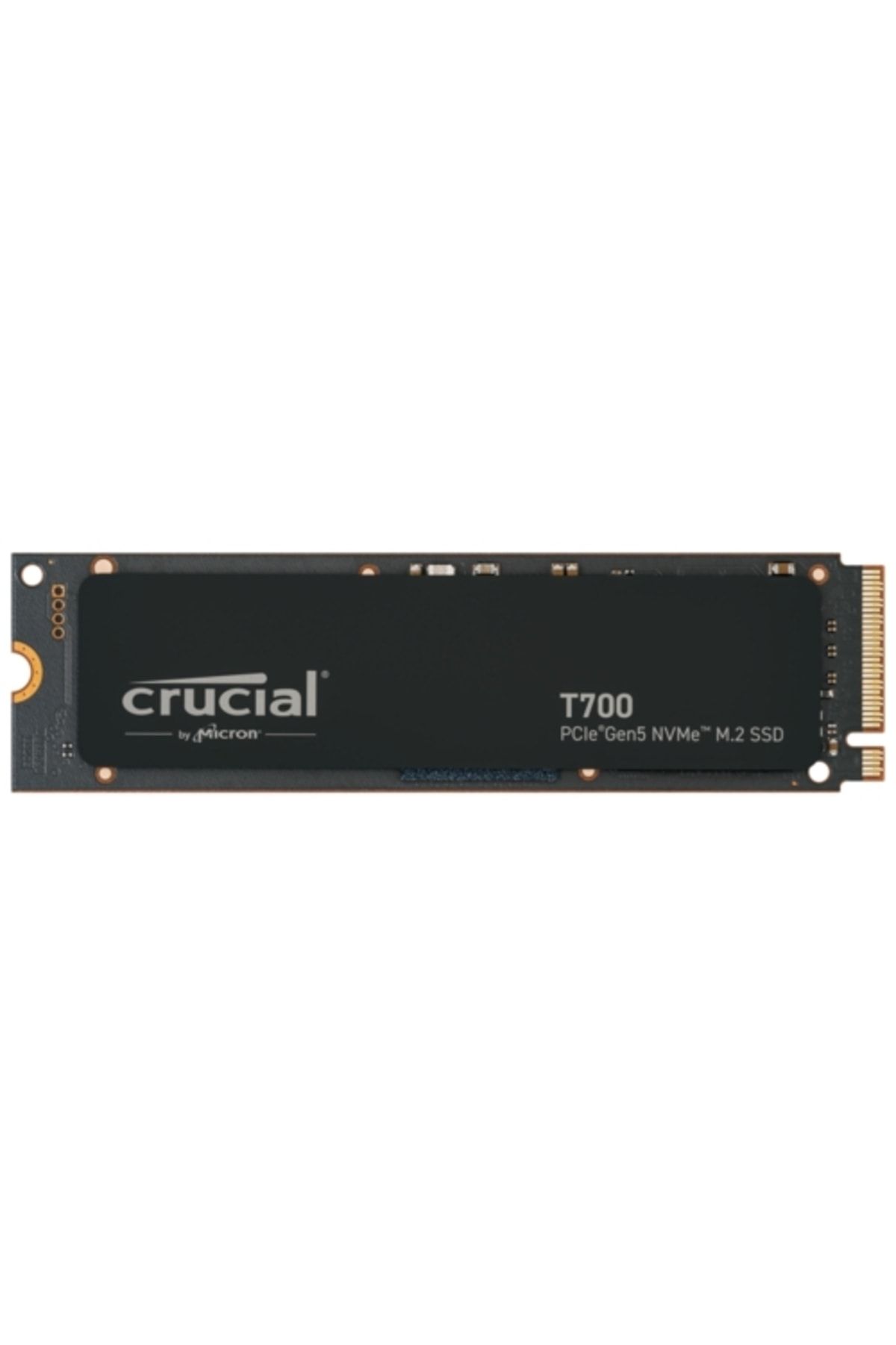Crucial T700 2TB SSD Gen5 NVMe M.2 CT2000T700SSD5 Soğutuculu