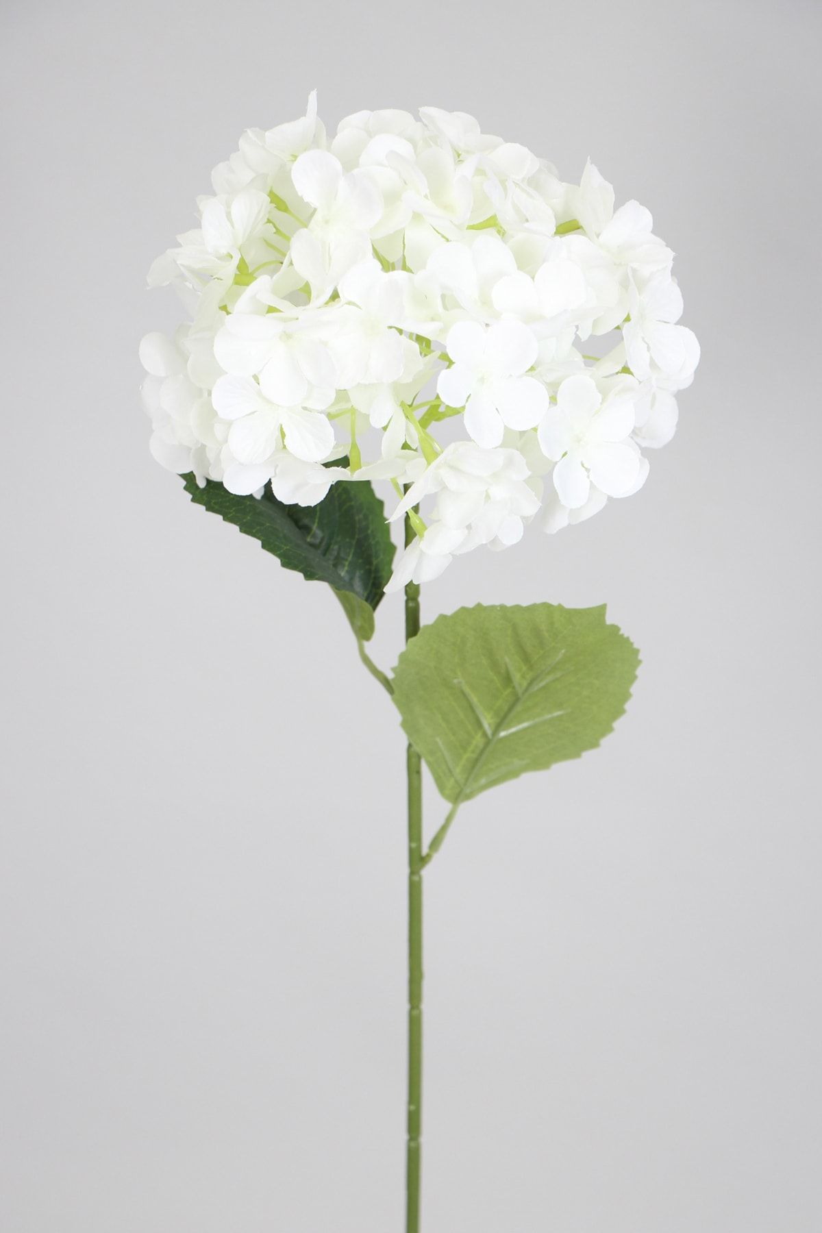 Yapay Çiçek Deposu Yapay Koca Kafa Ortanca Dalı 60 cm Beyaz