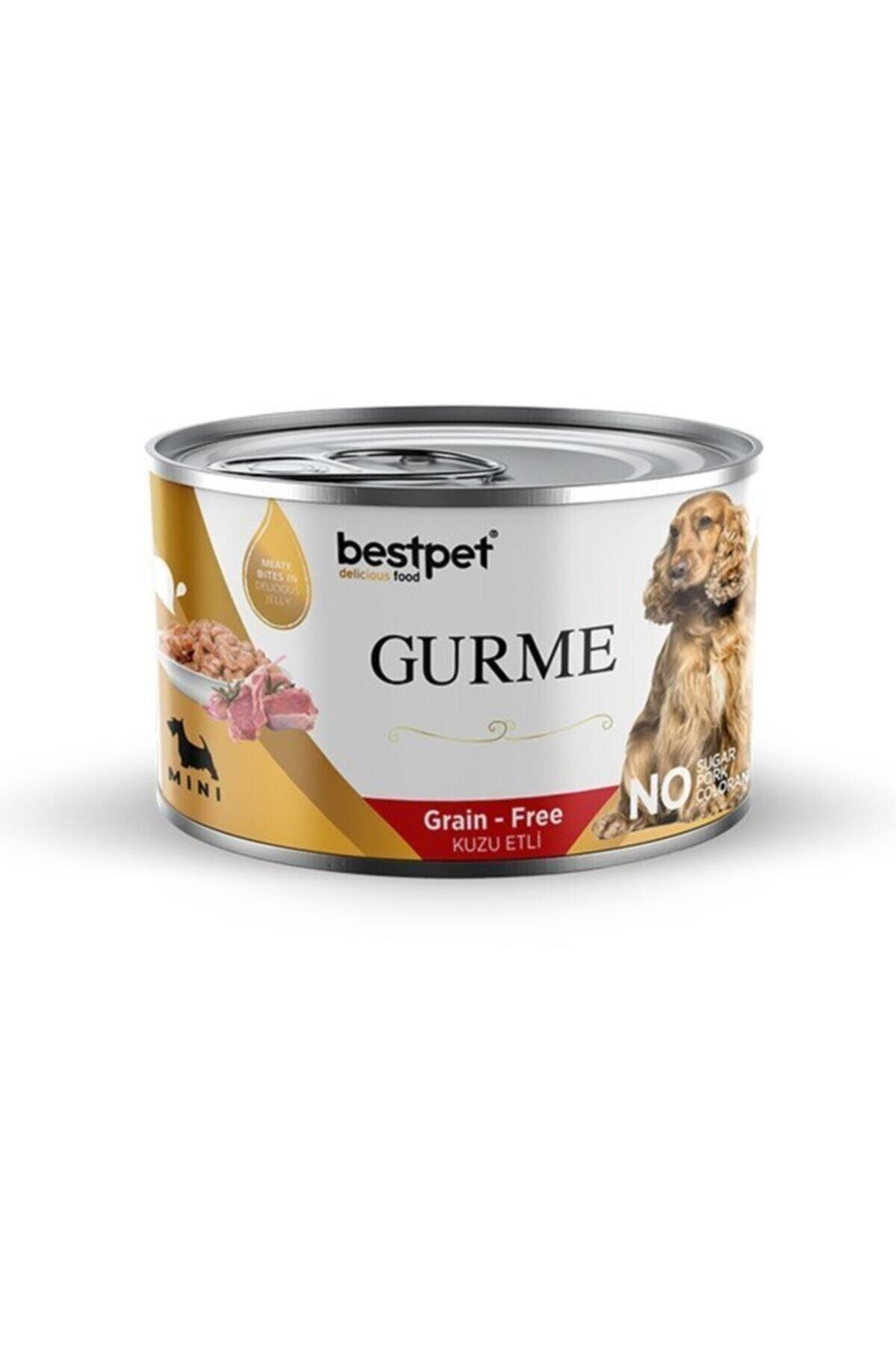 Bestpet Gurme Adult Mini Jelly Yetişkin Köpek Konservesi 200 gr