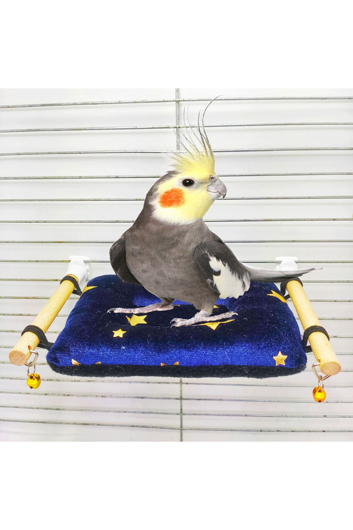 ozzipetshop Sultan Papağanı Yastıklı Dinlenme Tüneği