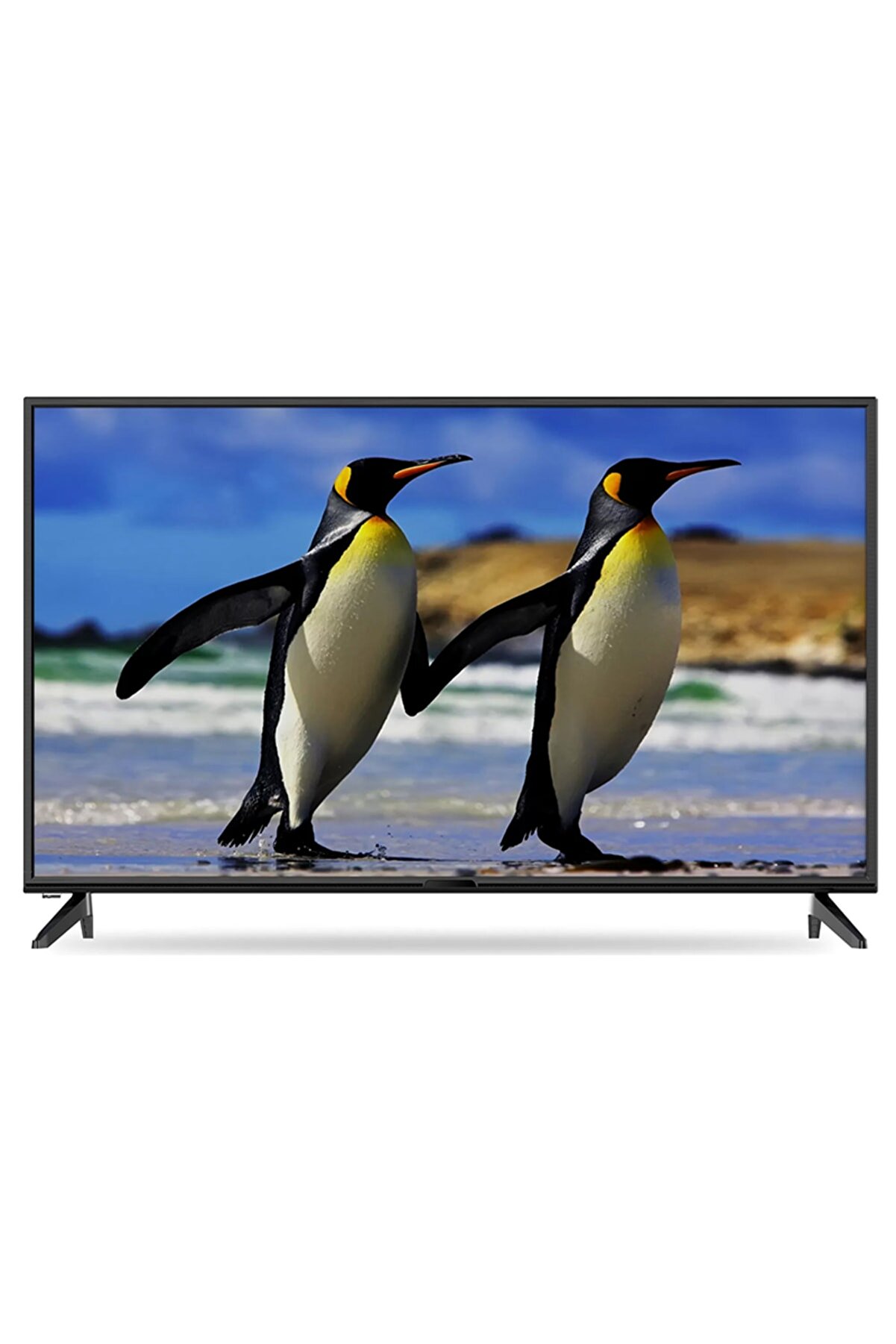 Profilo 42PA305E 42" 106 Ekran Uydu Alıcılı Full HD Smart LED TV