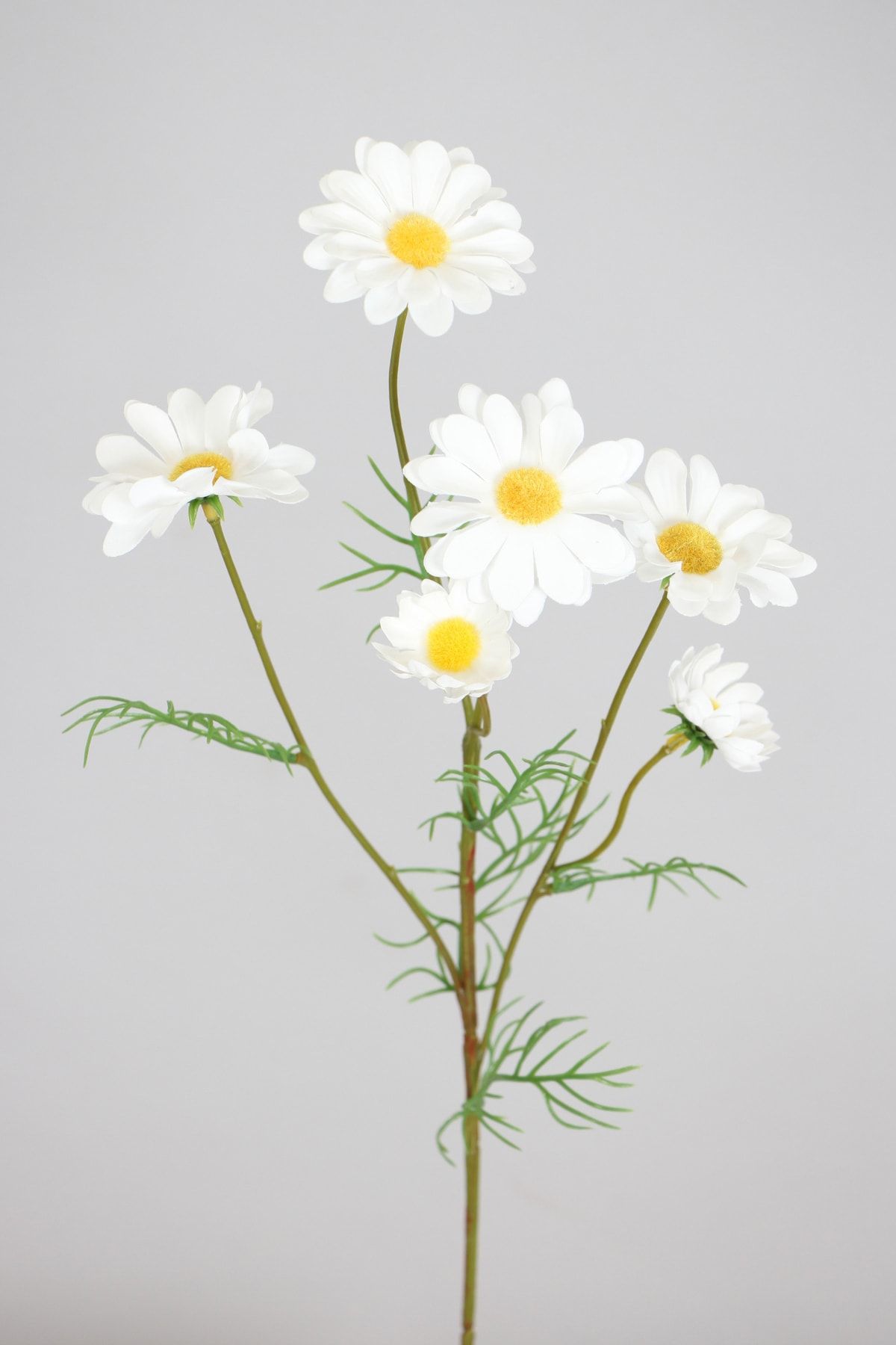 Yapay Çiçek Deposu Yapay Lüx Uzun Dal Papatya Beyaz 60 cm
