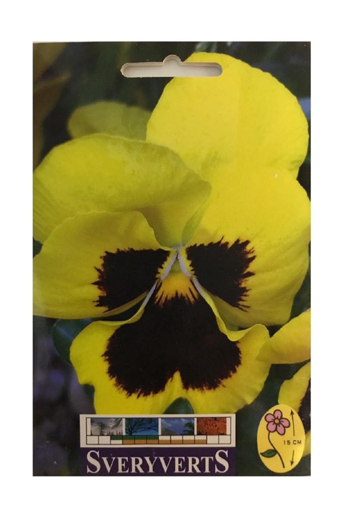 SVERYVERTS Sarı Menekşe Çiçeği Tohumu Paket