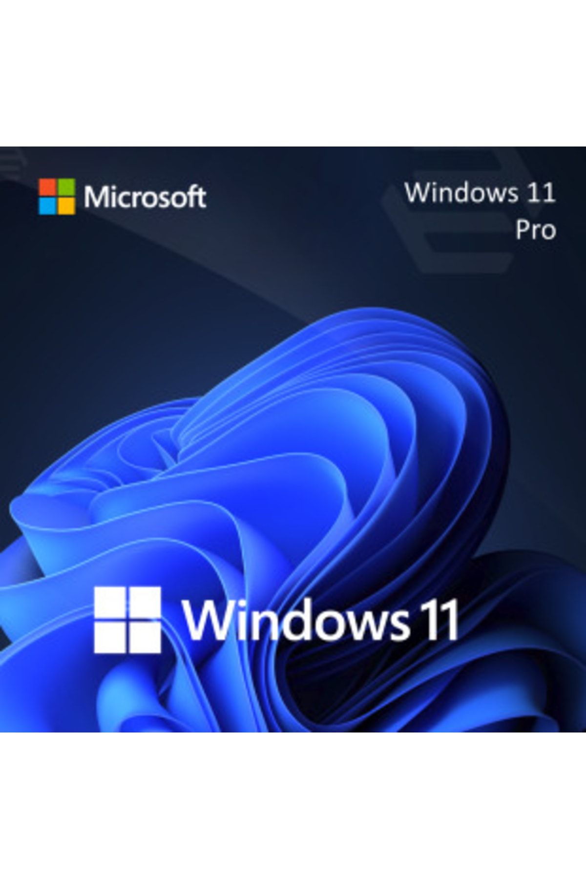 Microsoft Windows 11 Pro Lisans