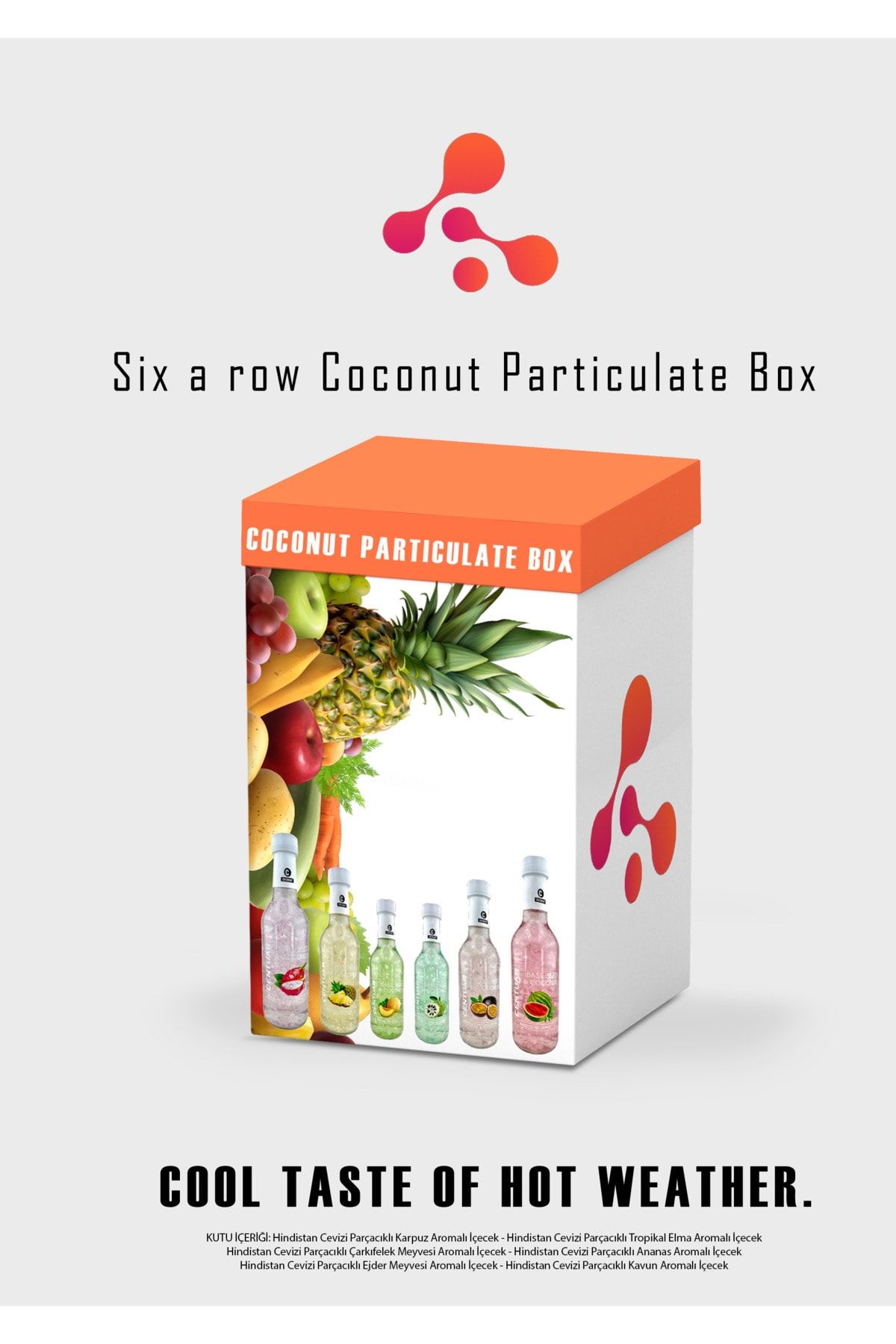 CENTUAR Coconut Particulate Box 6'lı Paket