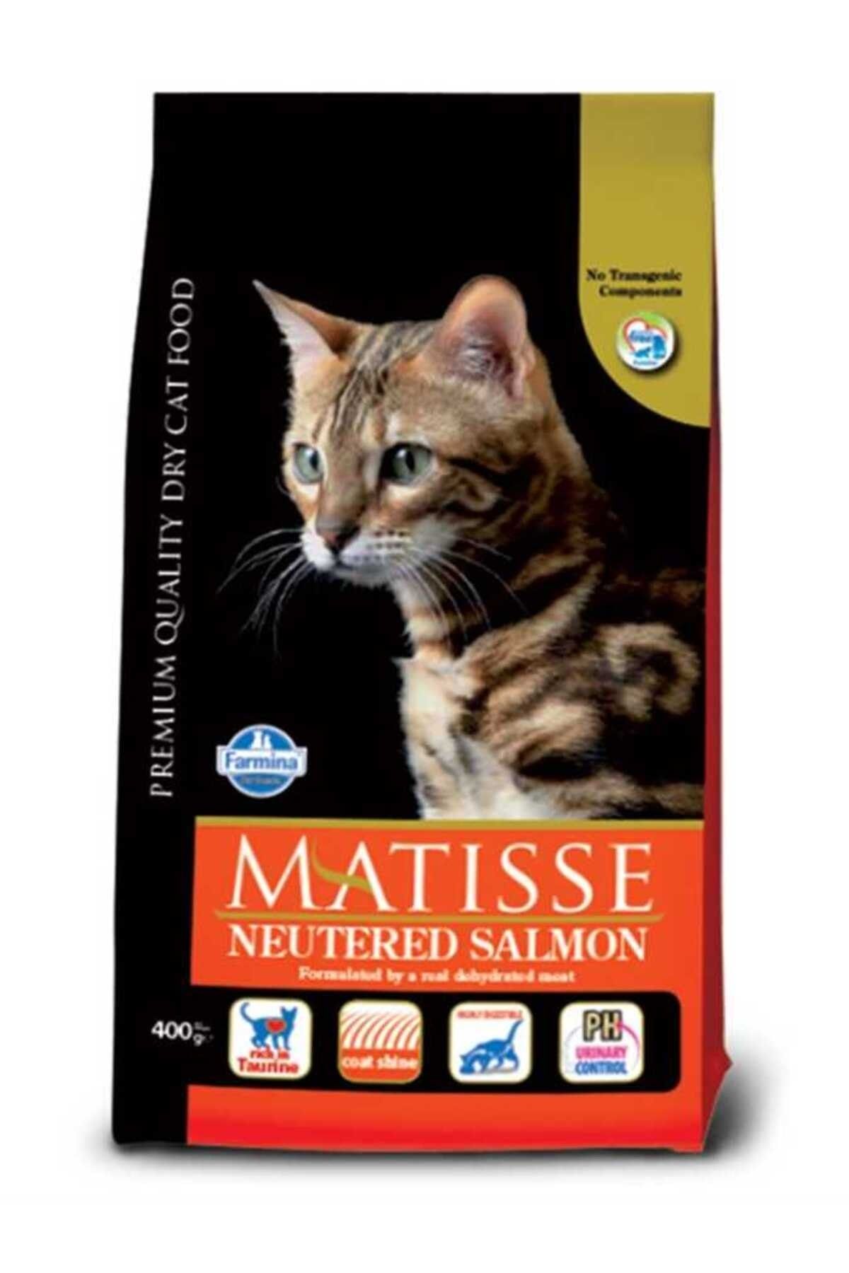 Matisse Somonlu Kısırlaştırılmış Kedi Maması 10 Kg