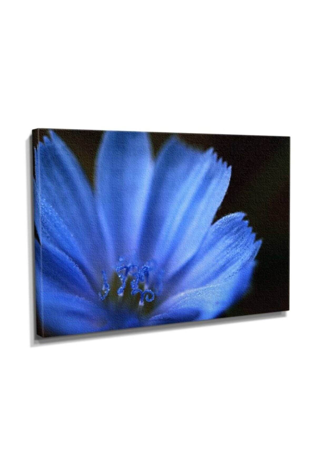 Dekor Sevgisi Mavi Çiçek Tablosu 45x30 DTC145301376