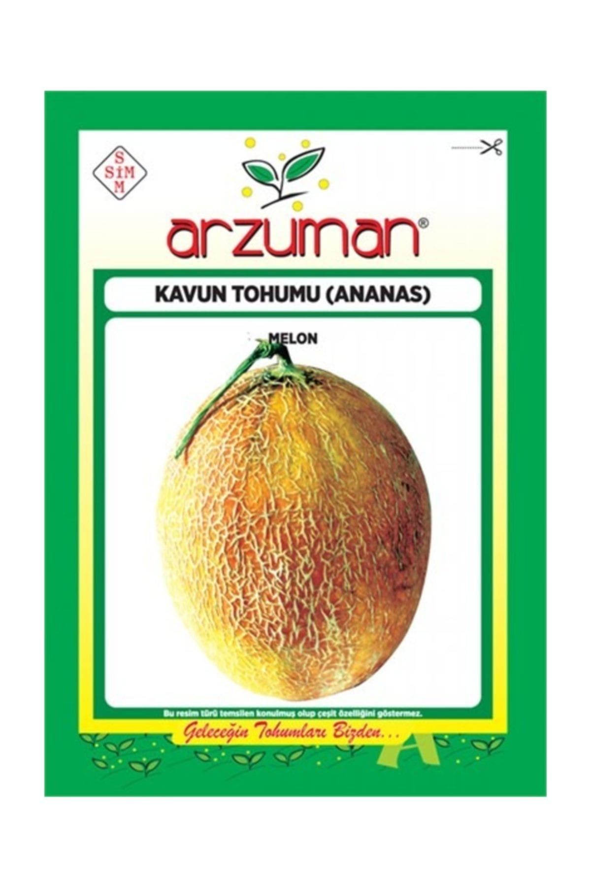 Arzuman Tohum Ananas Kavun Tohumu