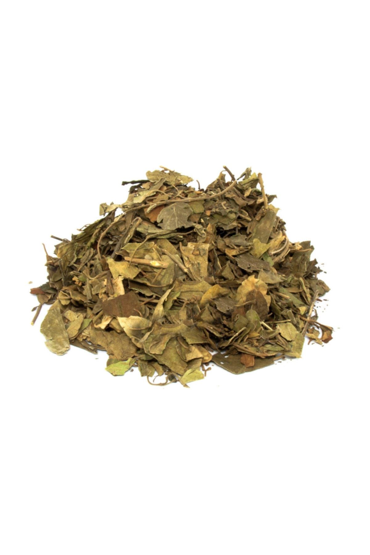 Aktarzane Cinnema Yaprağı (GURMAR OTU) 100gr