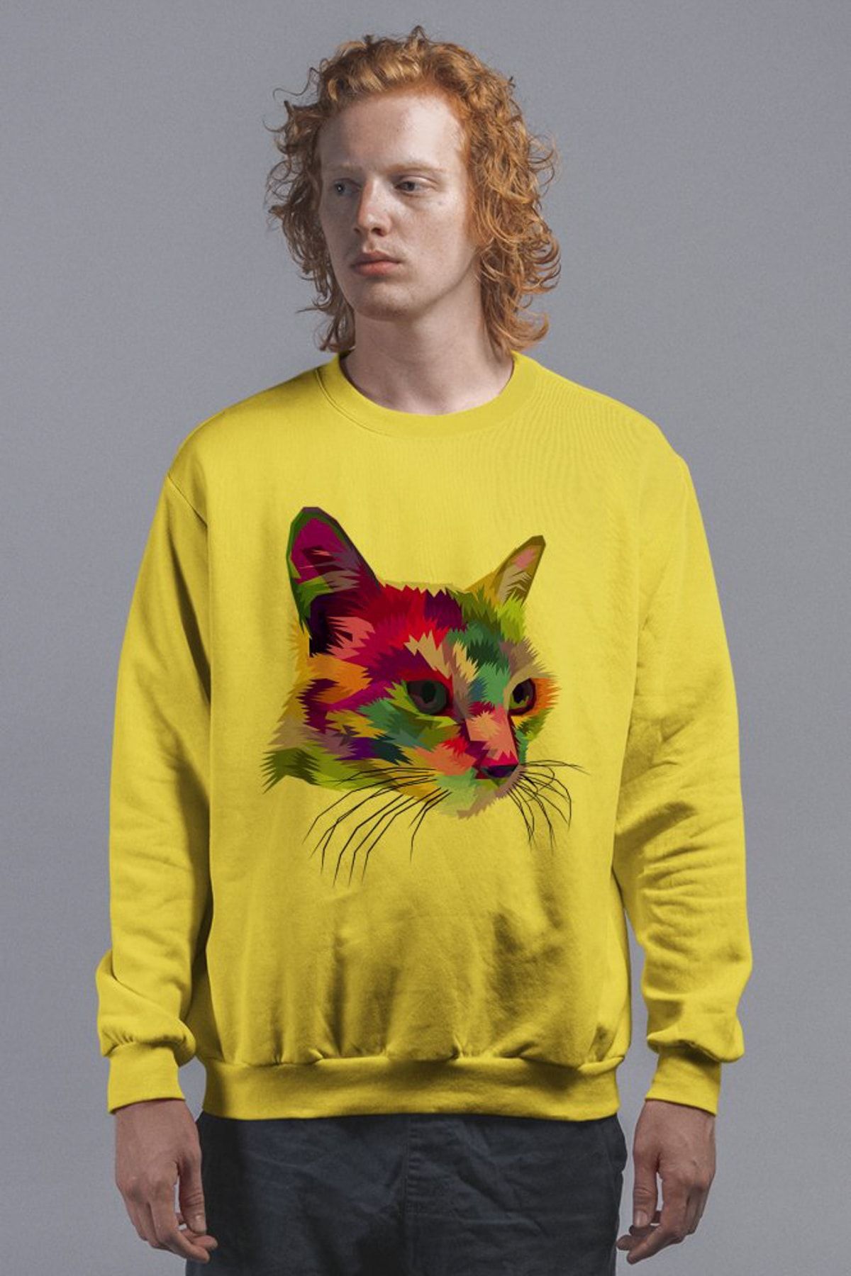 Angemiel Wear Colorful Cat Erkek Sweatshirt A0216WE