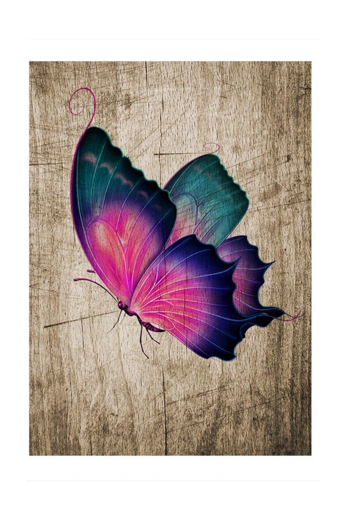 Tablomega Renkli Kelebek Art Mdf Poster 50x70cm