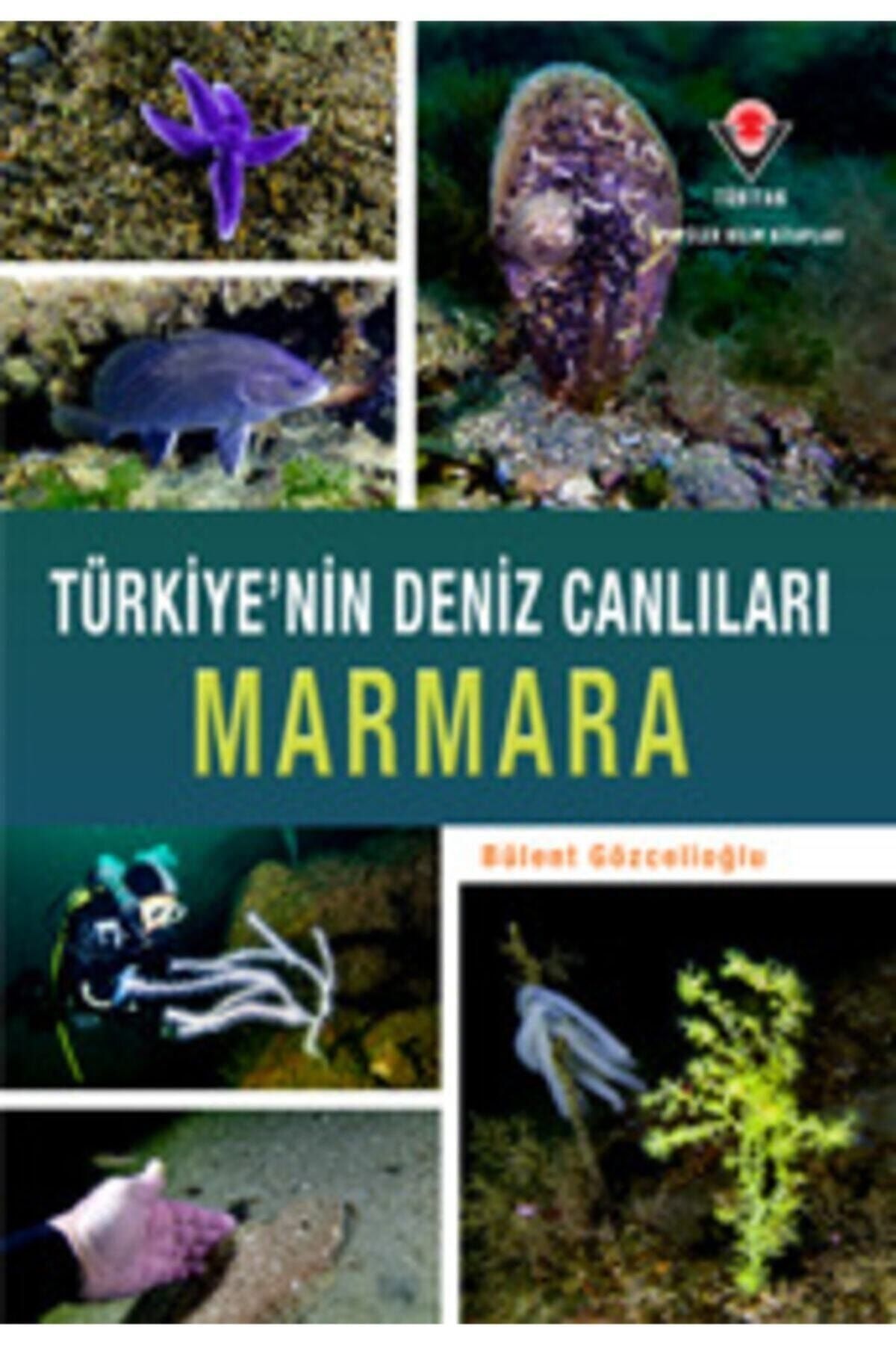 Tübitak Yayınları Türkiye'nin Deniz Canlıları Marmara (cilti Kapak)