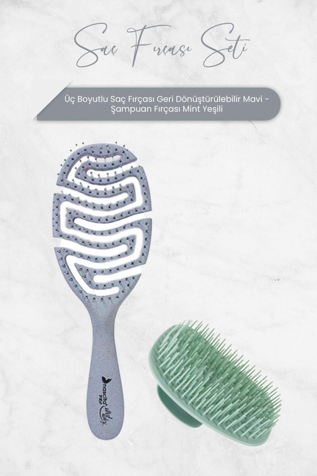Nascita Üç Boyutlu Saç Fırçası Geri Dönüştürülebilir Mavi ve Şampuan Fırçası Mint Yeşili
