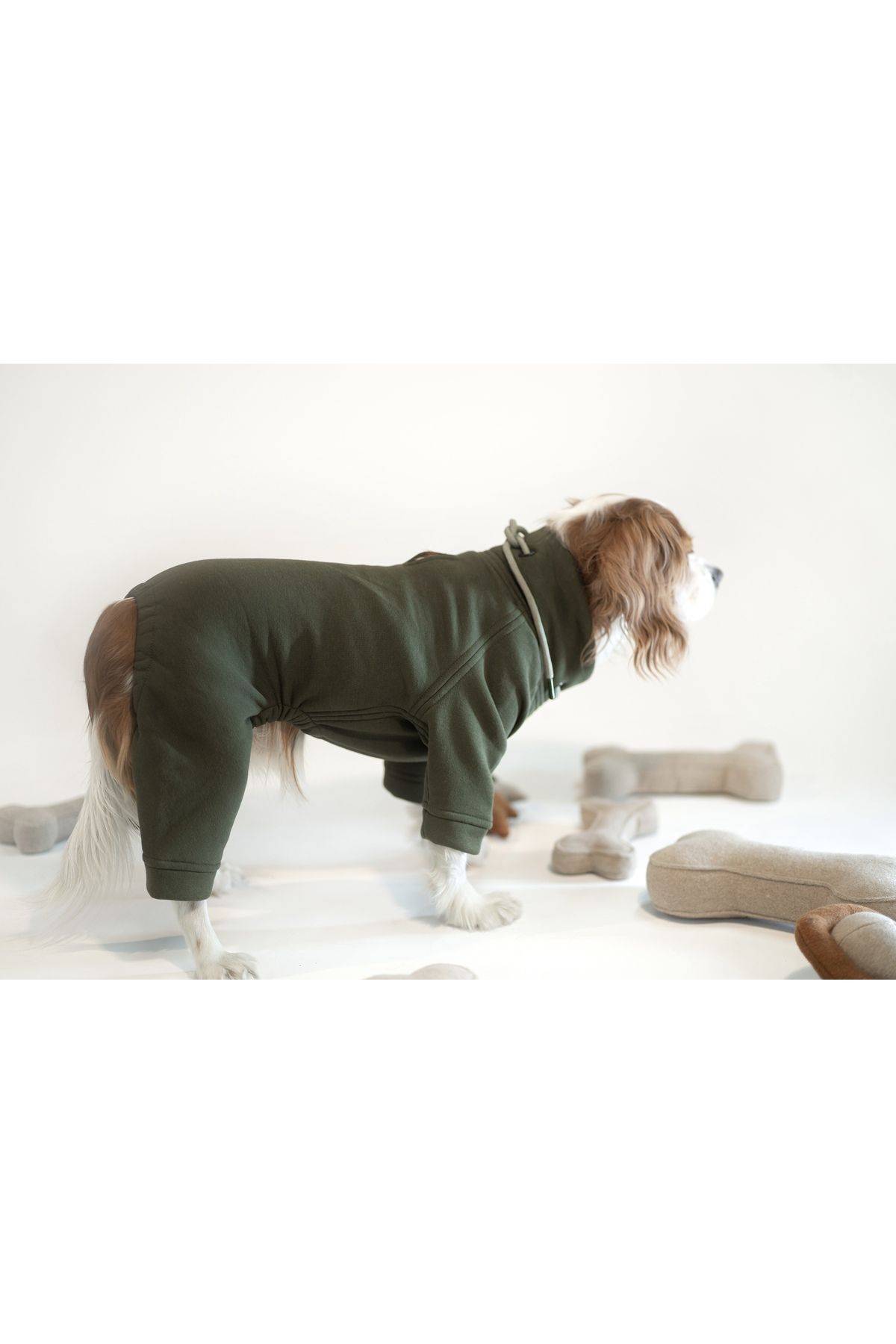 Muwa Walkster Tulum Avcı Yeşili Rengi Köpek Kıyafeti
