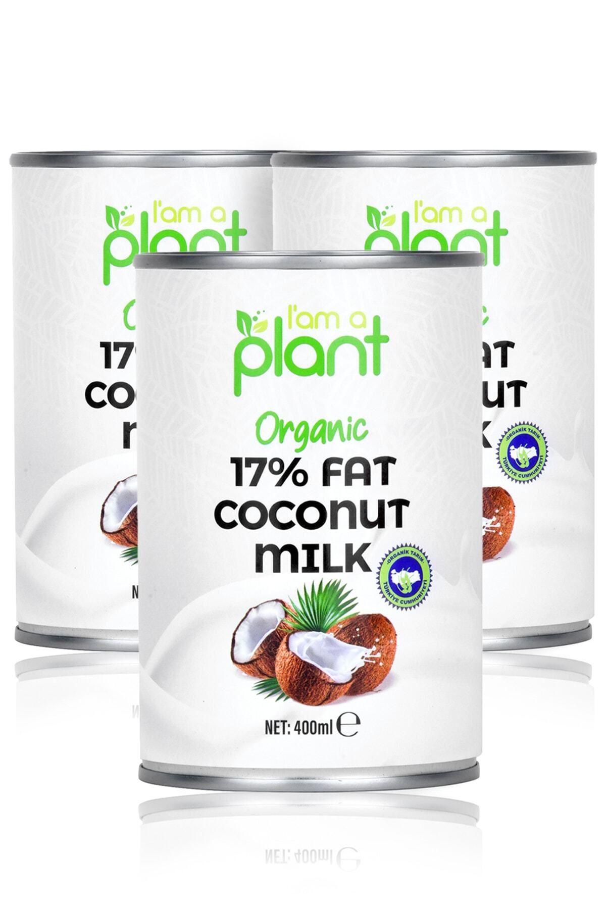 Güzel Ada Gıda Organik Hindistan Cevizi Sütü 400 ml X 3