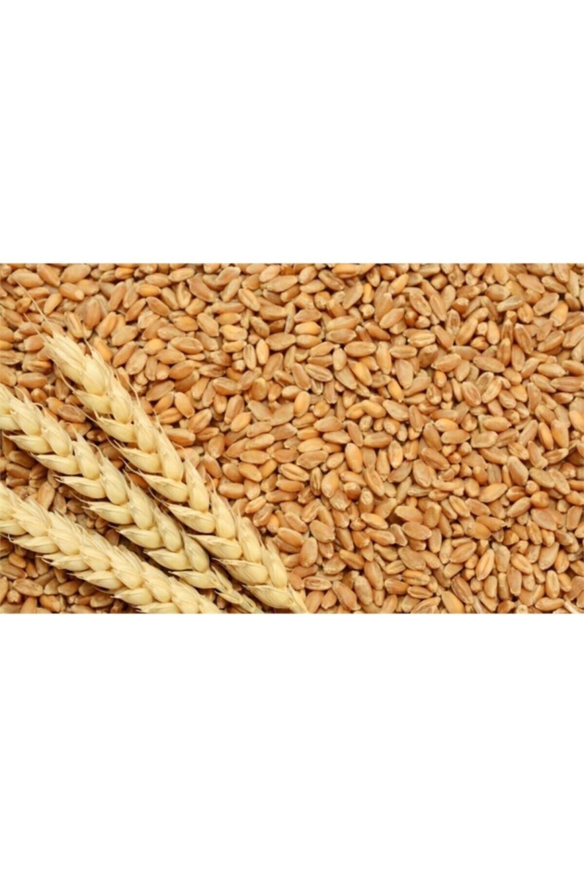 ME BUĞDAY İşlenmemiş Buğday 1 kg